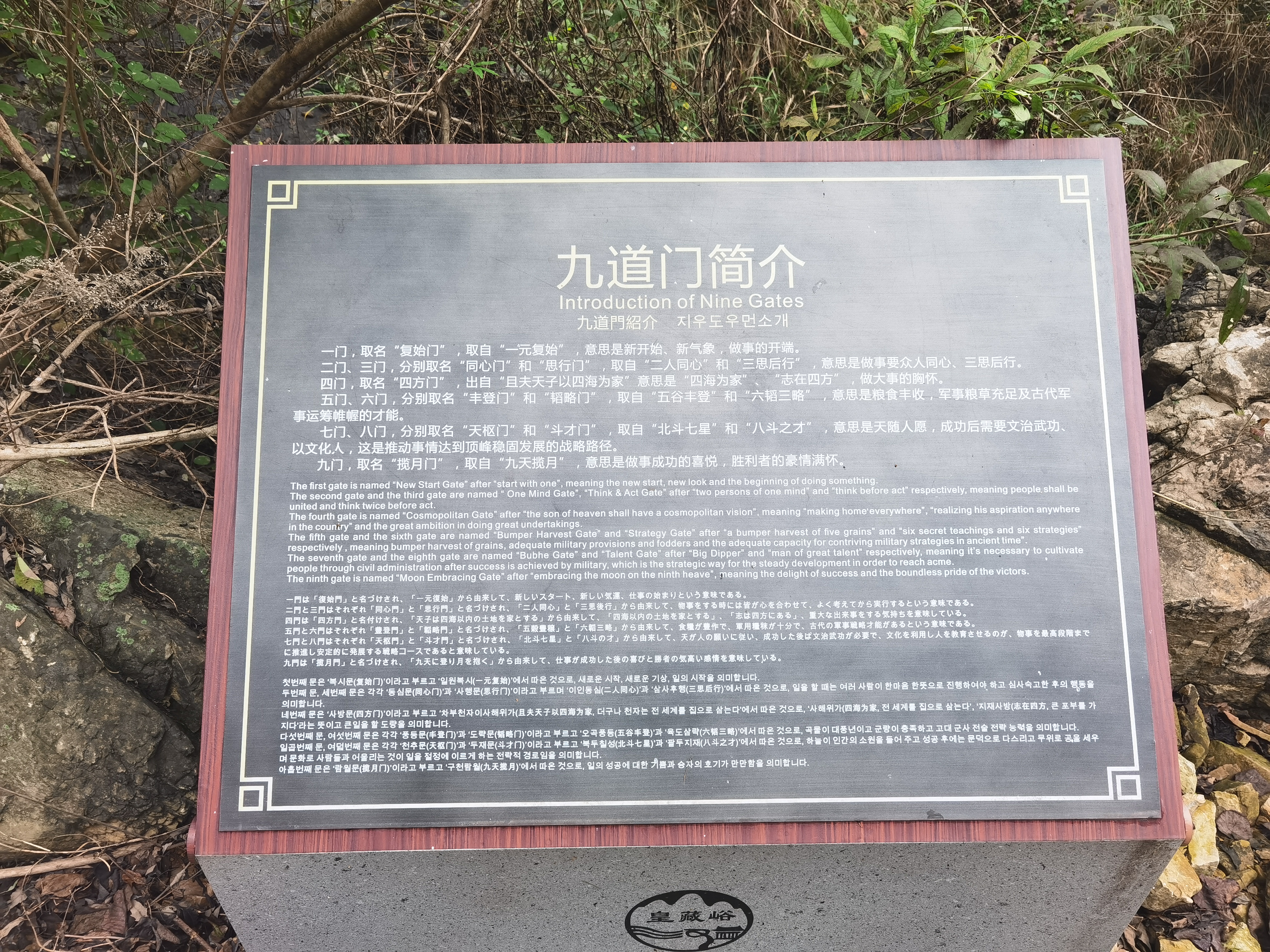 IMG_20210927_113858.jpg