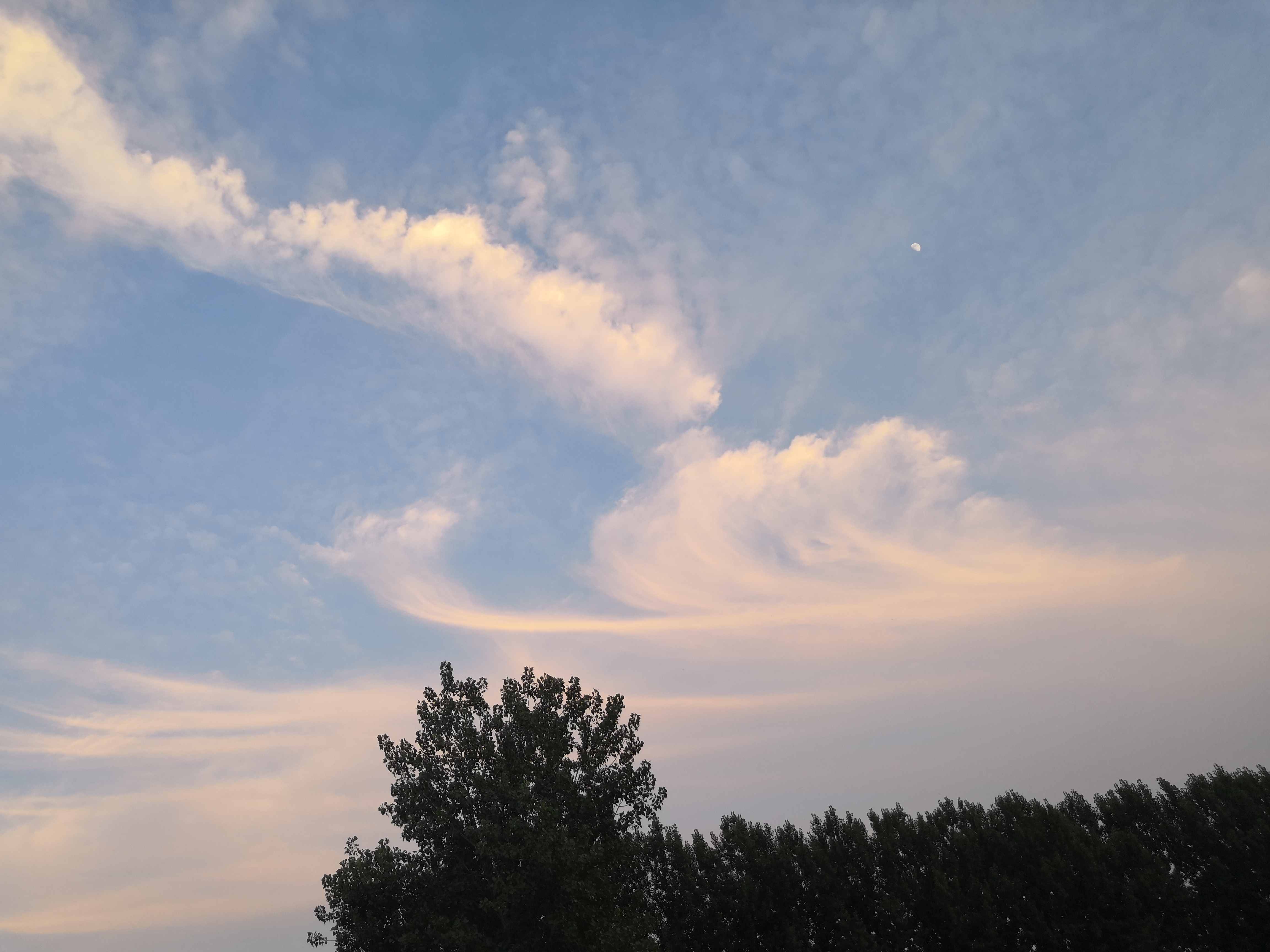 IMG_20190711_192444.jpg