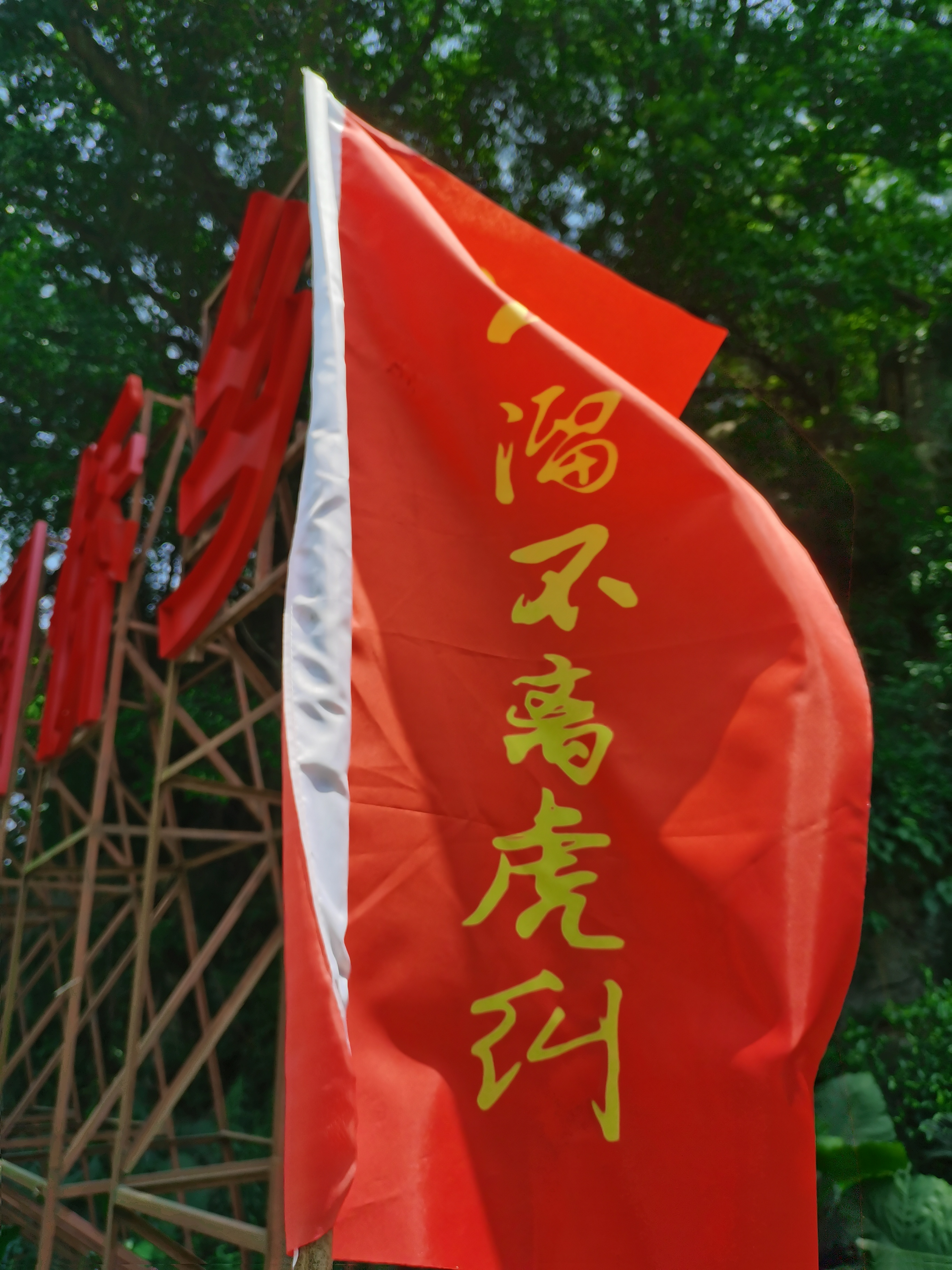 IMG_20210502_122540.jpg