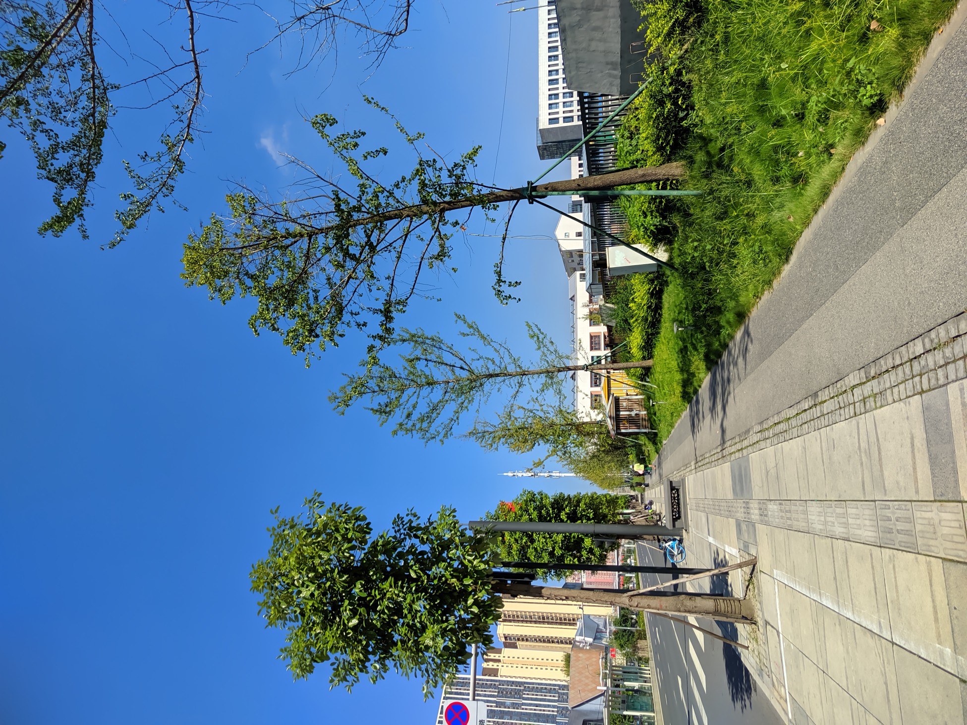 荣耀50原生相机和谷歌相机拍照对比