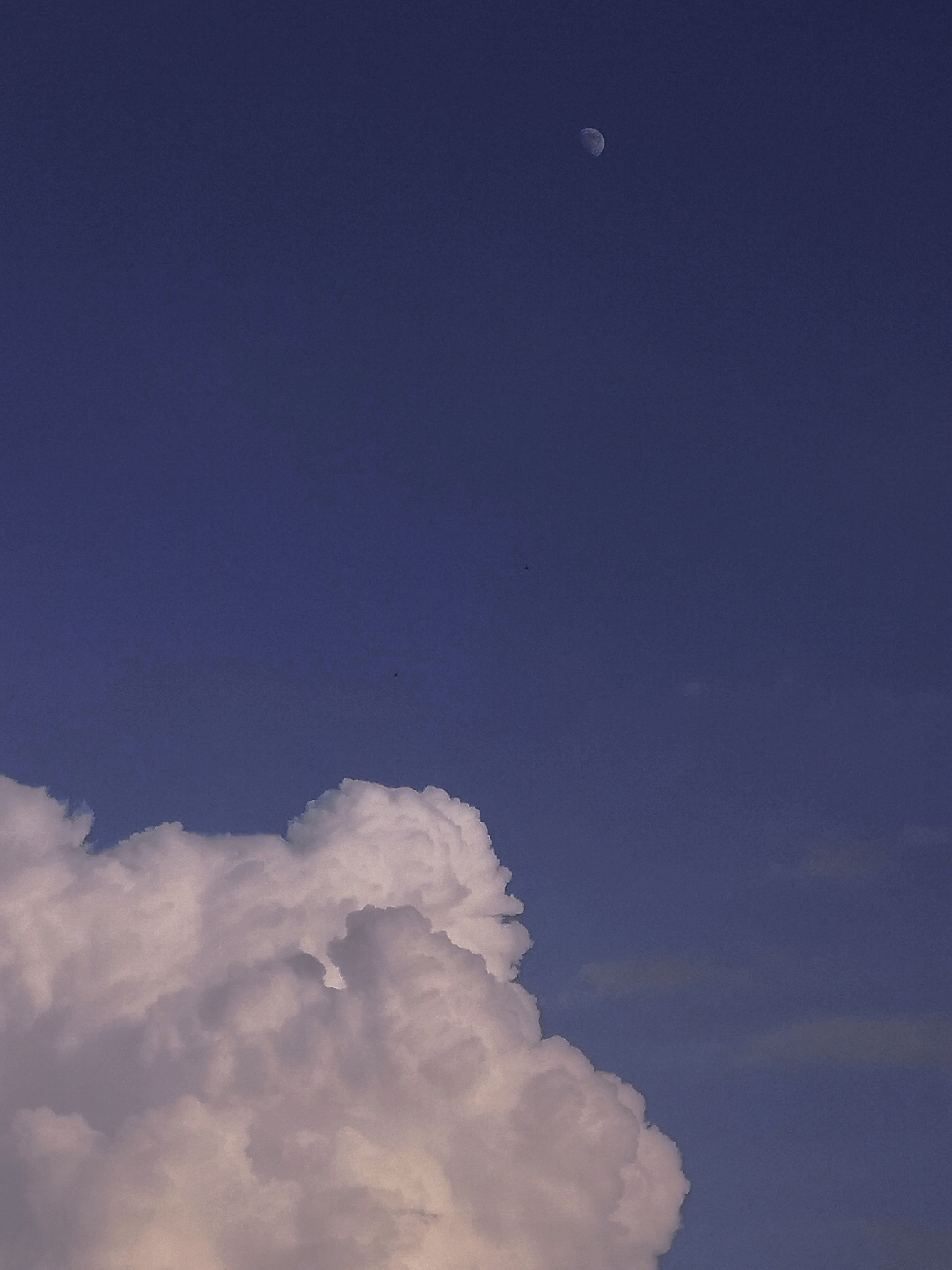 retouch_2021071919333802.jpg