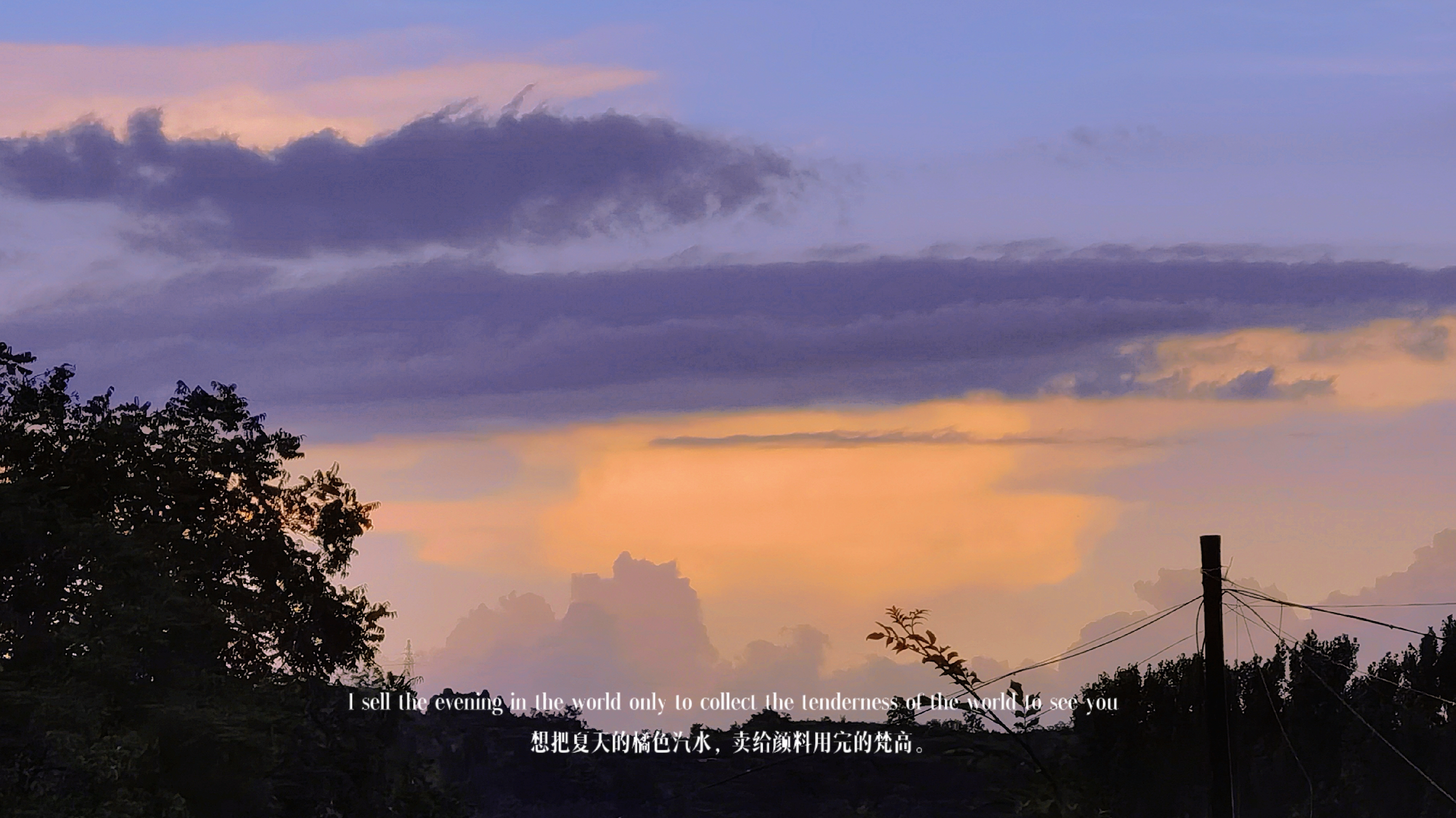 retouch_2021071719113446.jpg