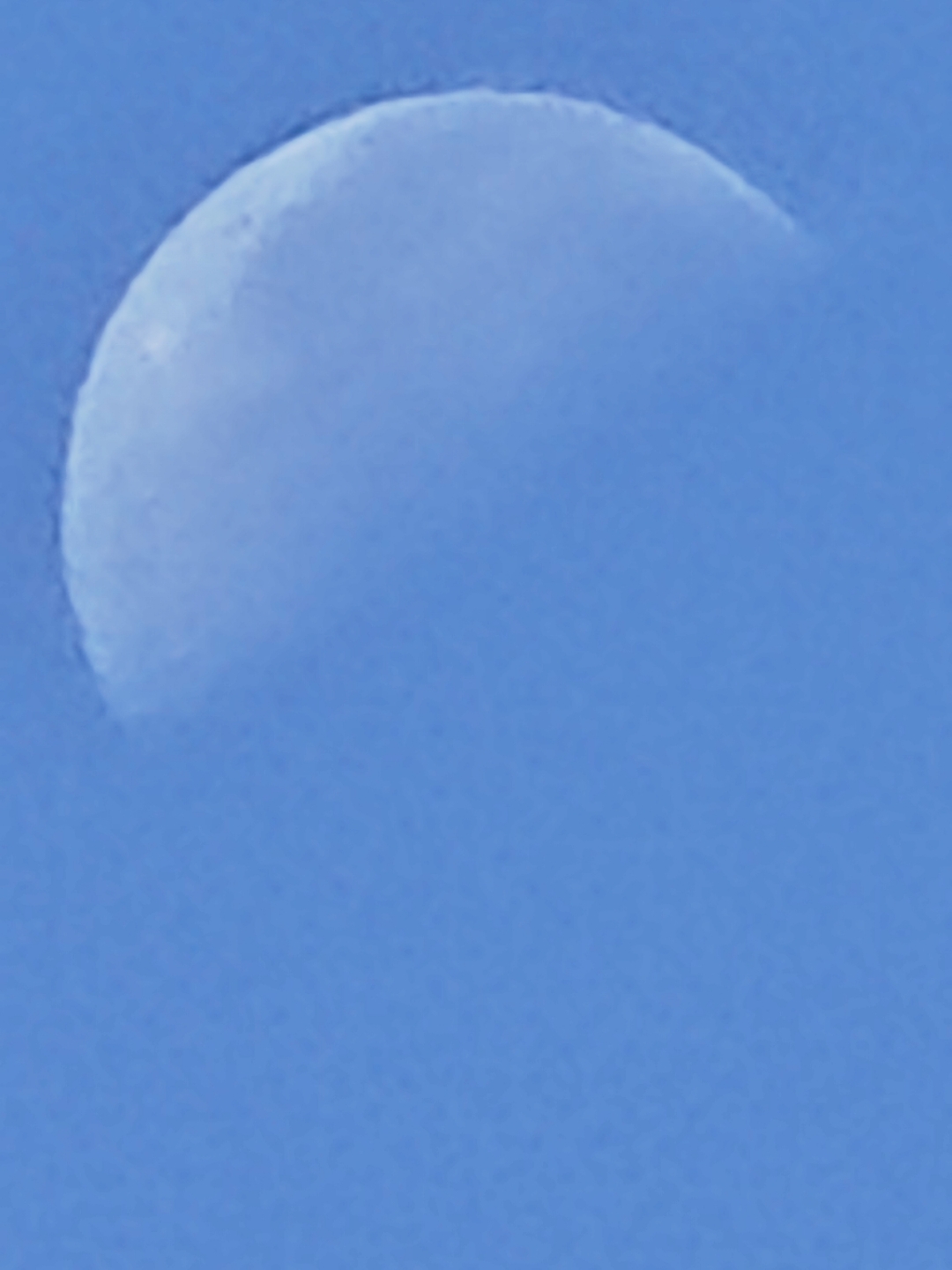 IMG_20210929_095445.jpg
