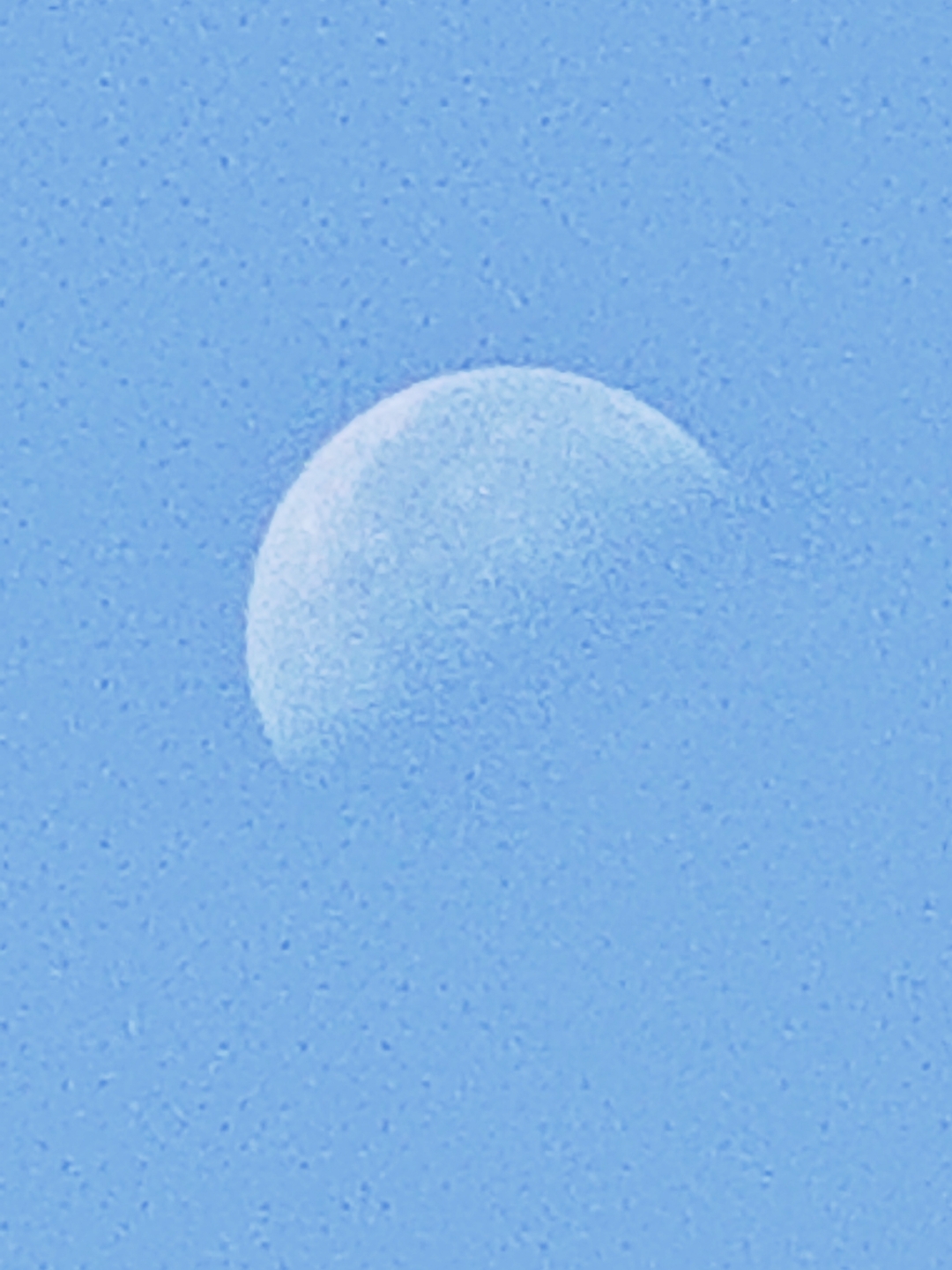 IMG_20210929_095435.jpg