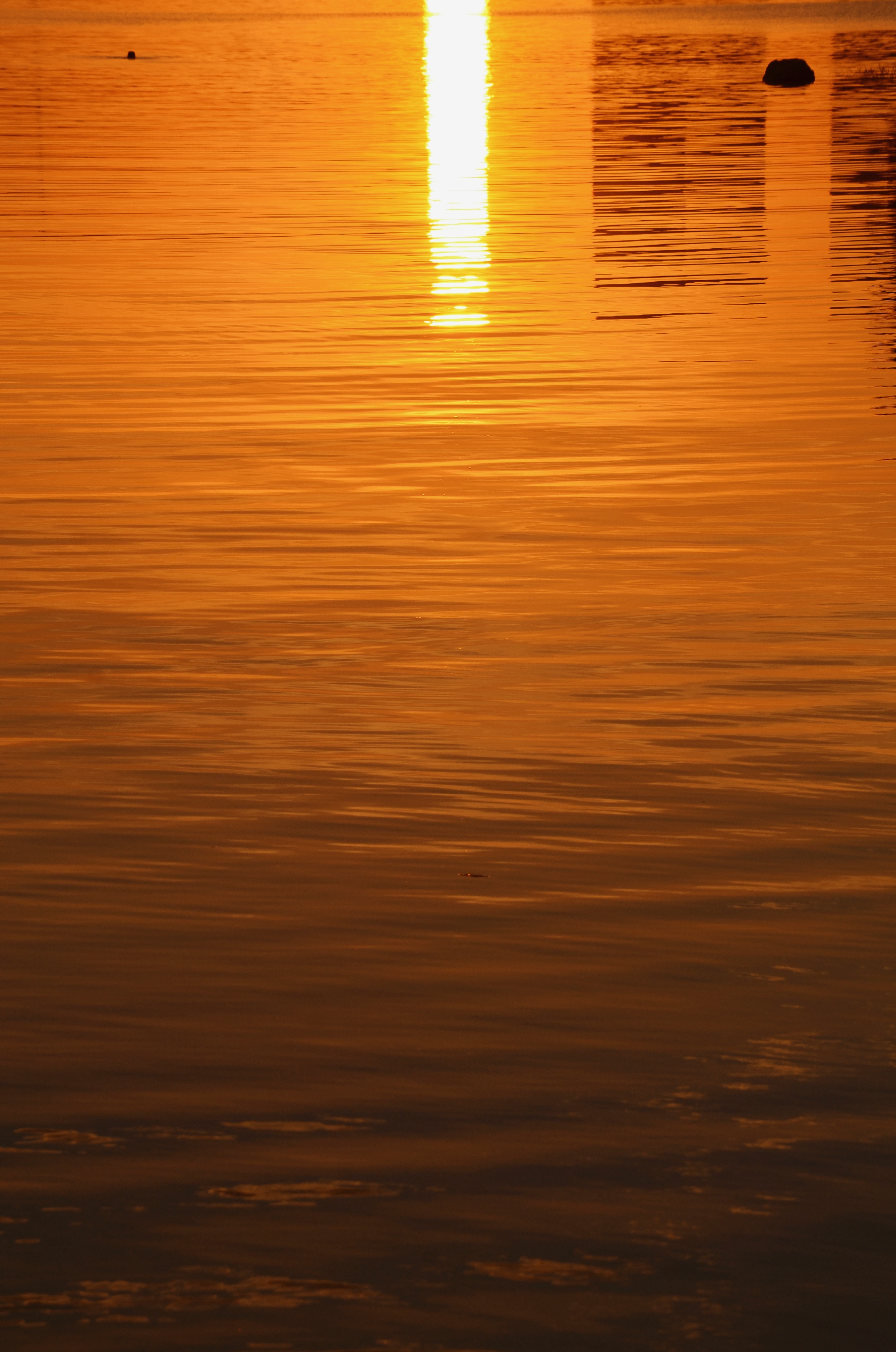 retouch_2021090517281147(1).jpg