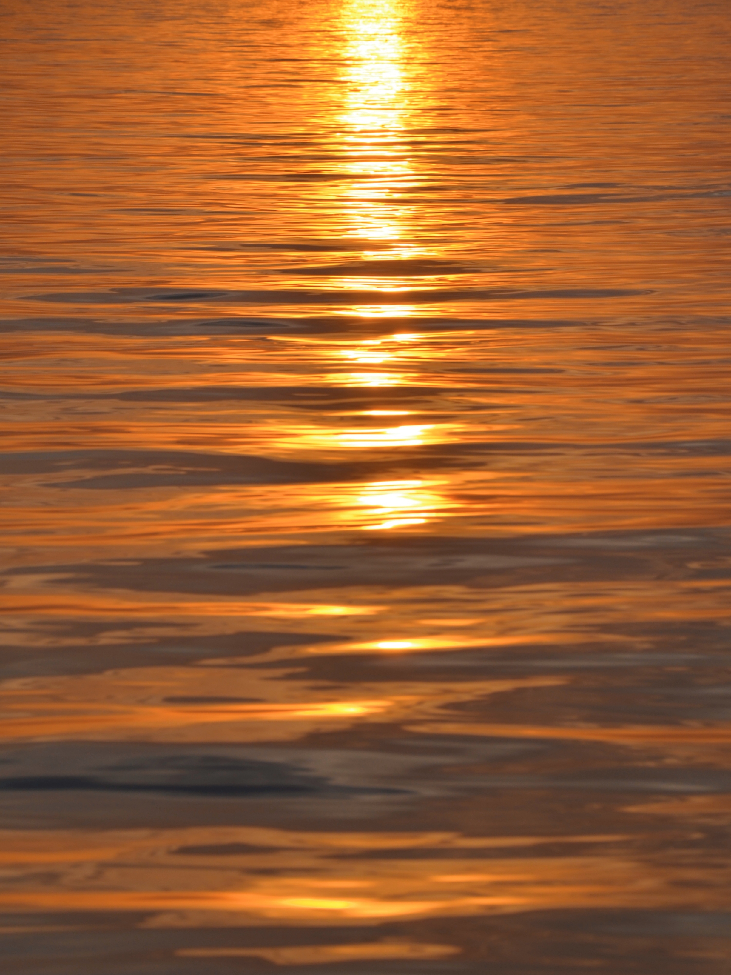 retouch_2021080213175499.jpg