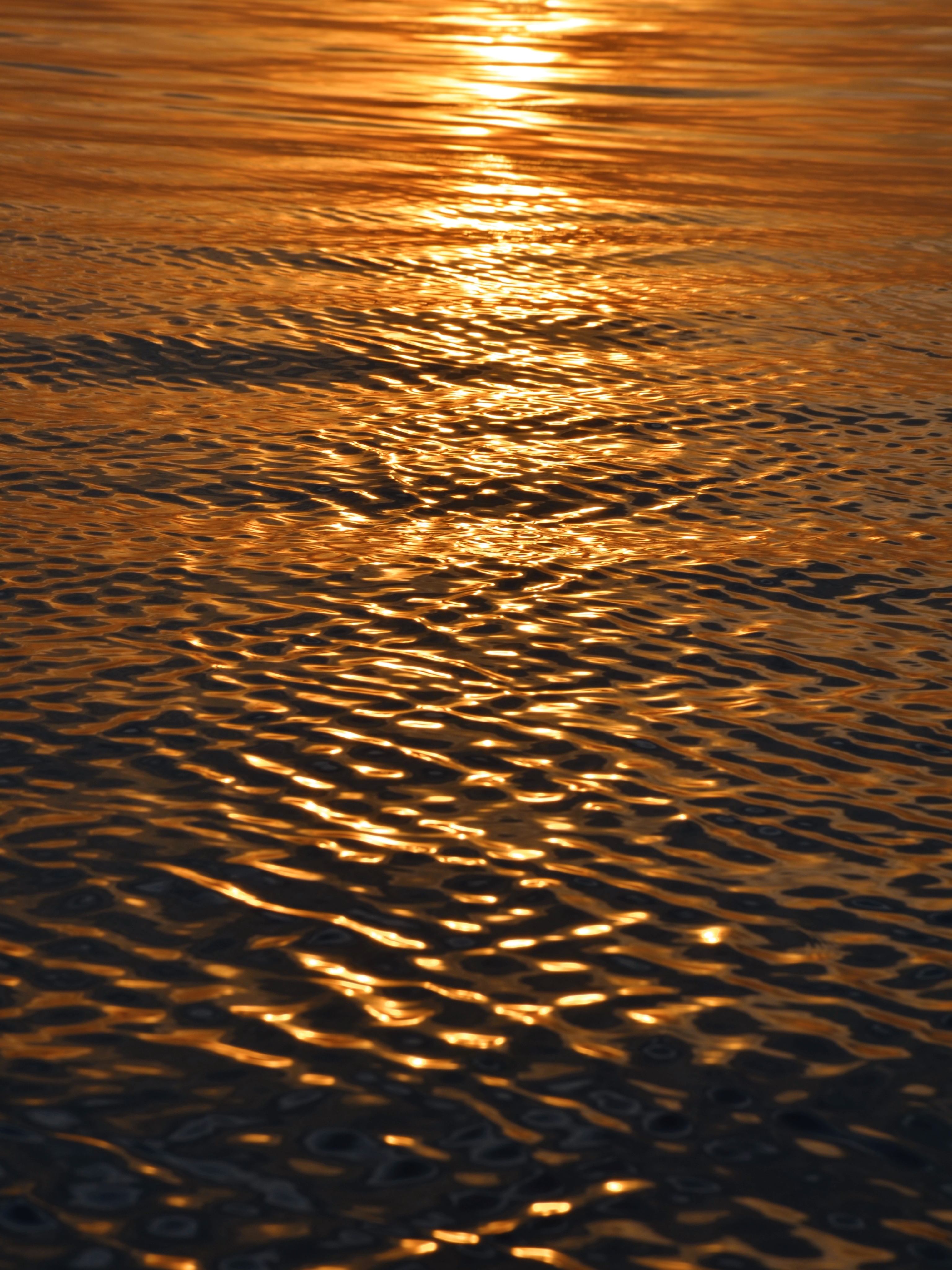 retouch_2021080213182129.jpg