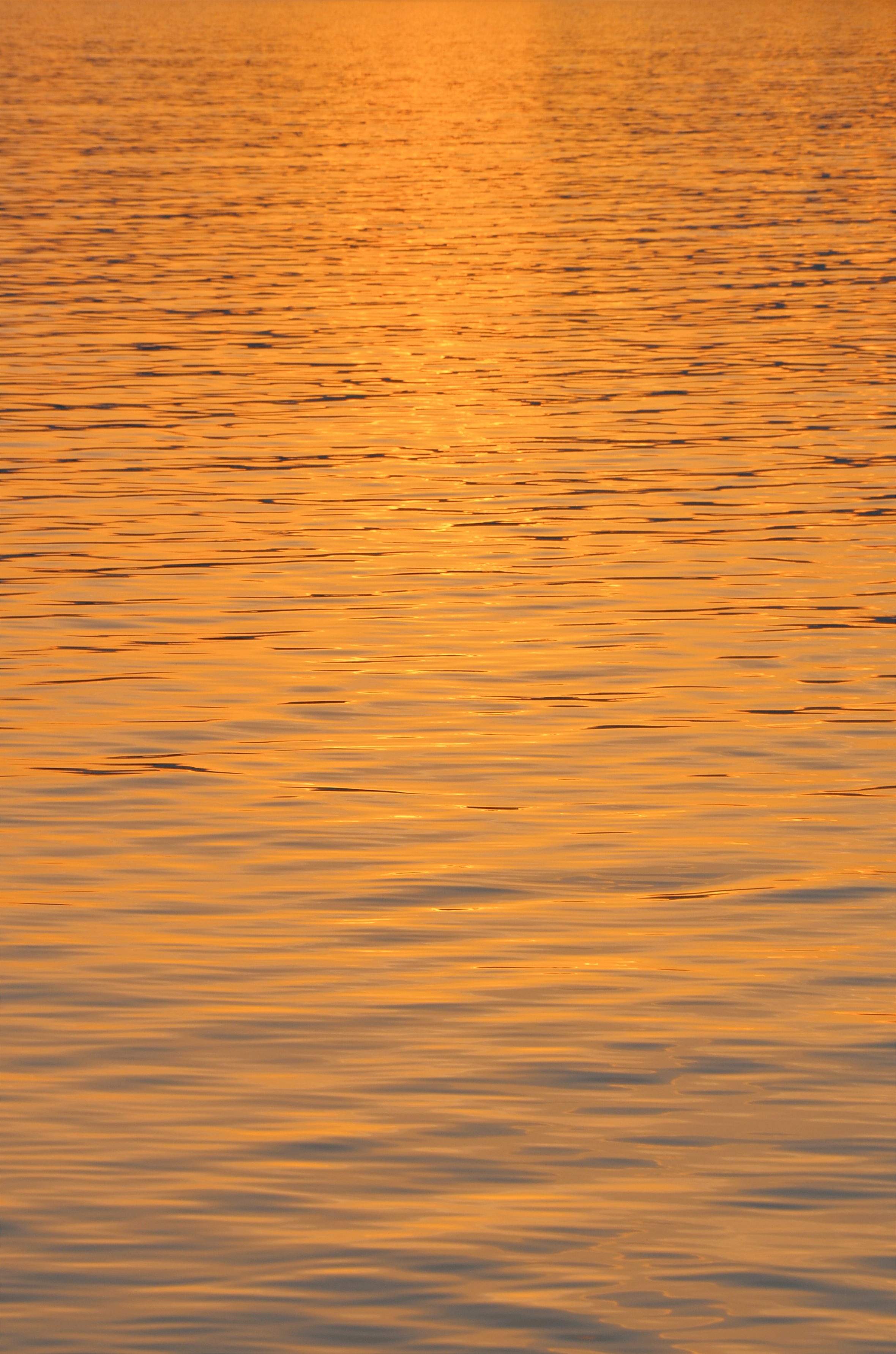 retouch_2021051608451687.jpg