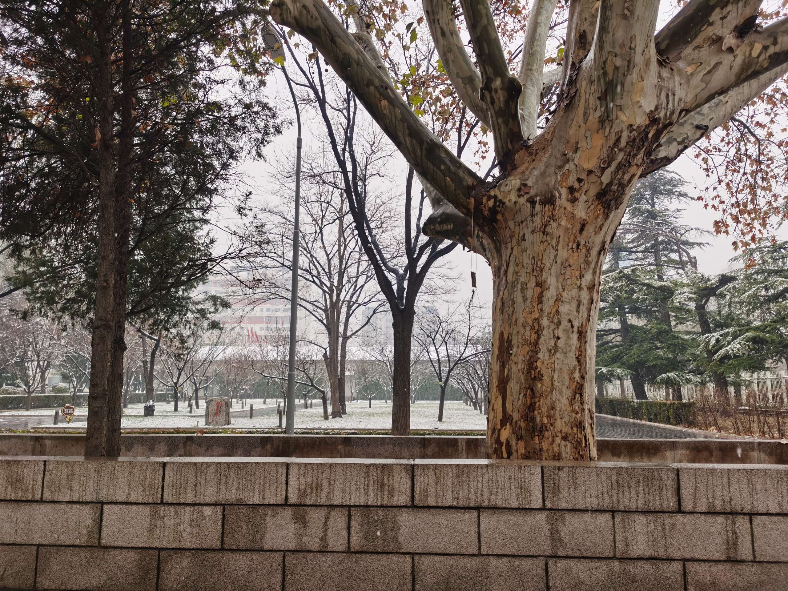 IMG_20191216_103242.jpg