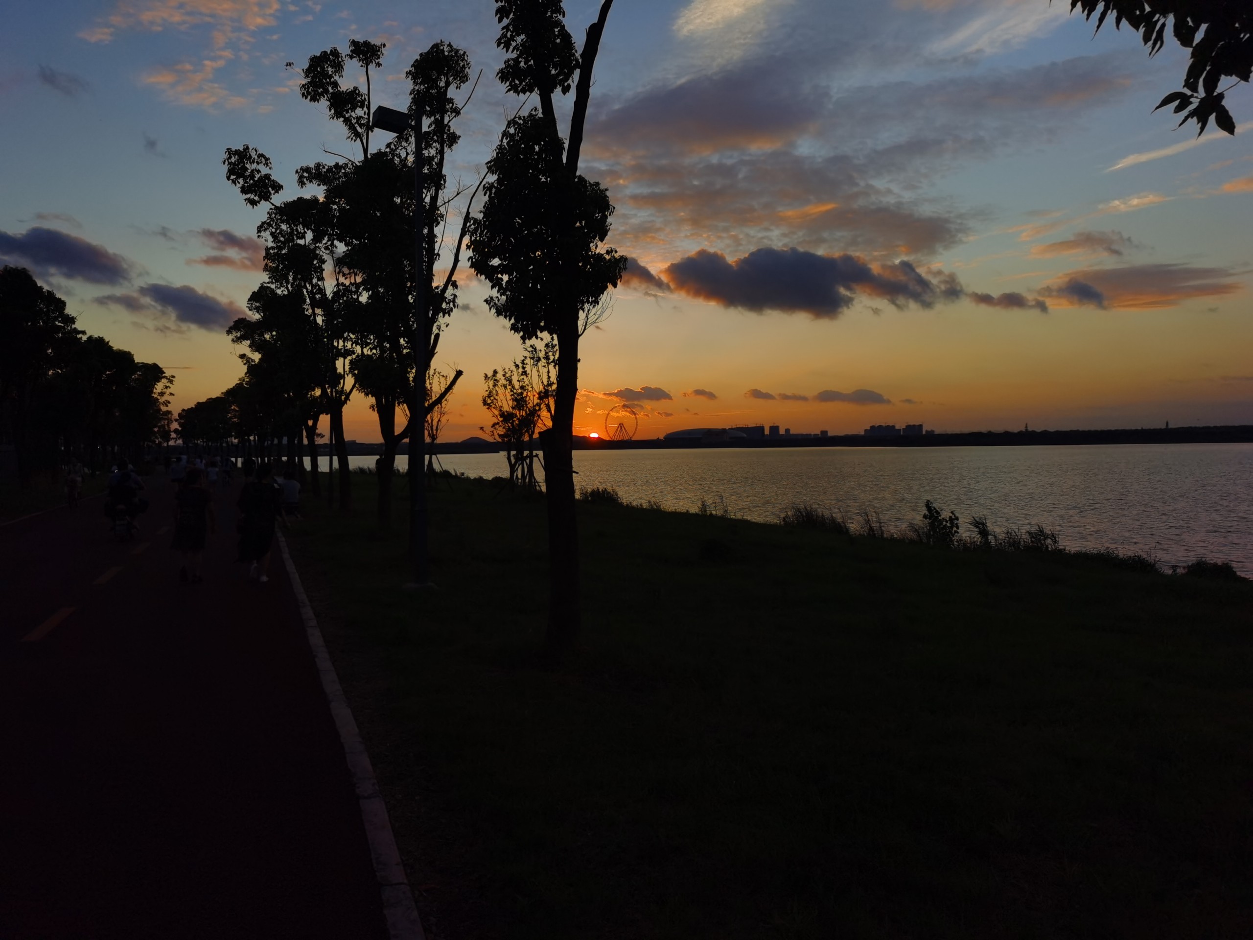 IMG_20210728_191554.jpg