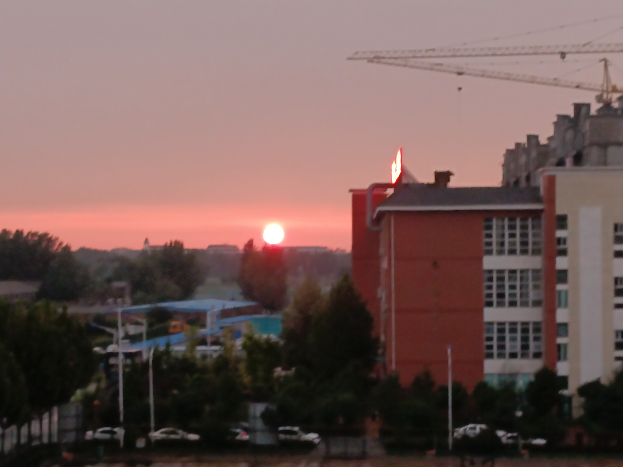 IMG_20210928_180629.jpg
