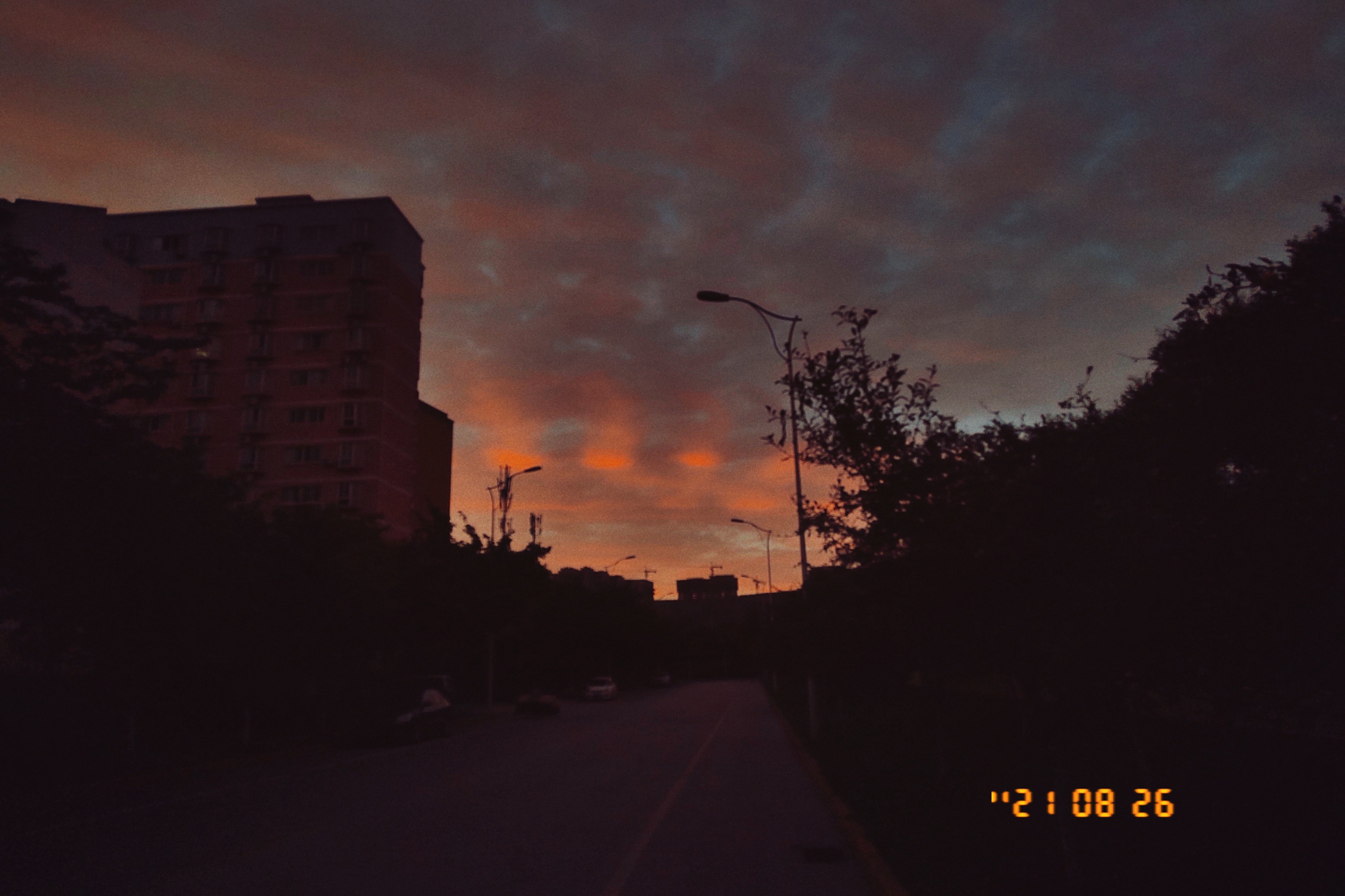FIMO_1629977224485.JPG