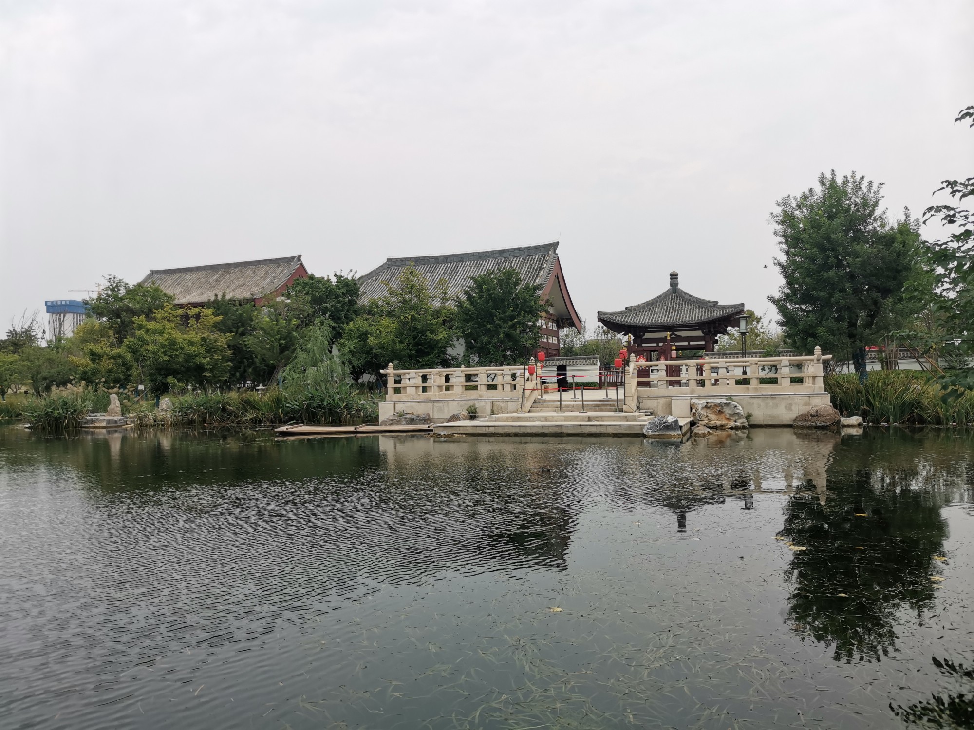 IMG_20210923_155514.jpg