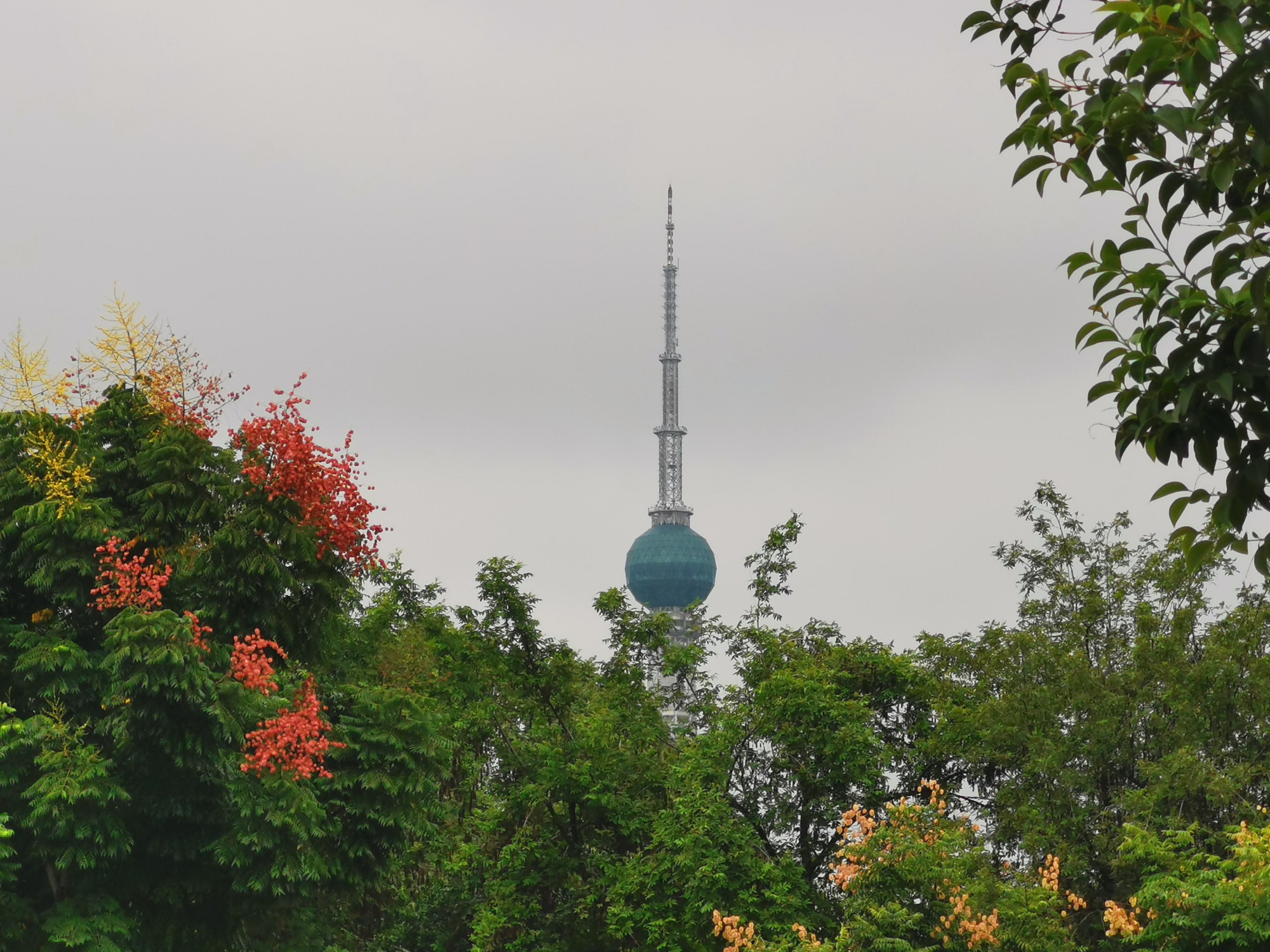 IMG_20210925_115442.jpg