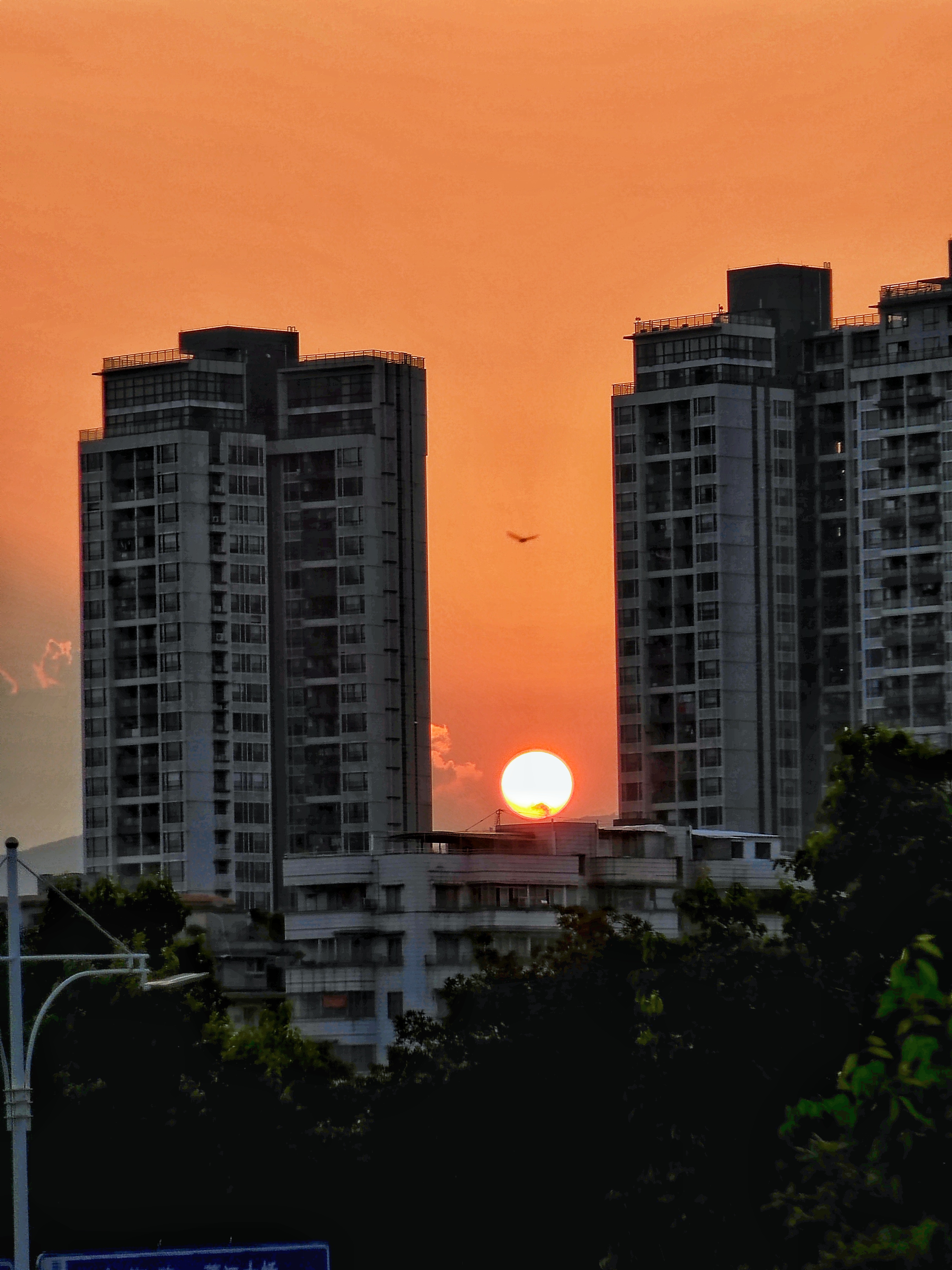 IMG_20211002_175913-01.jpeg