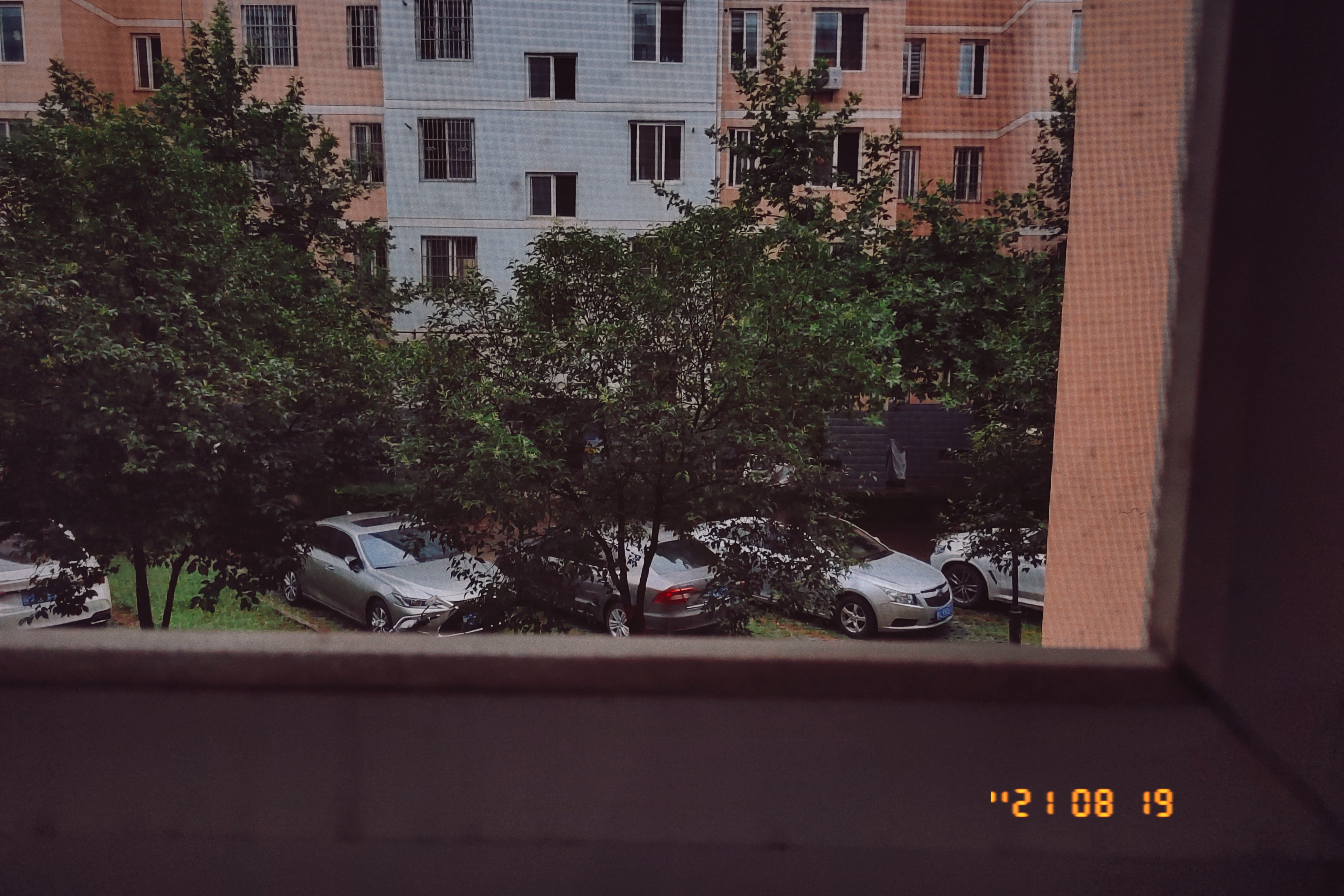 FIMO_1629371862960.JPG