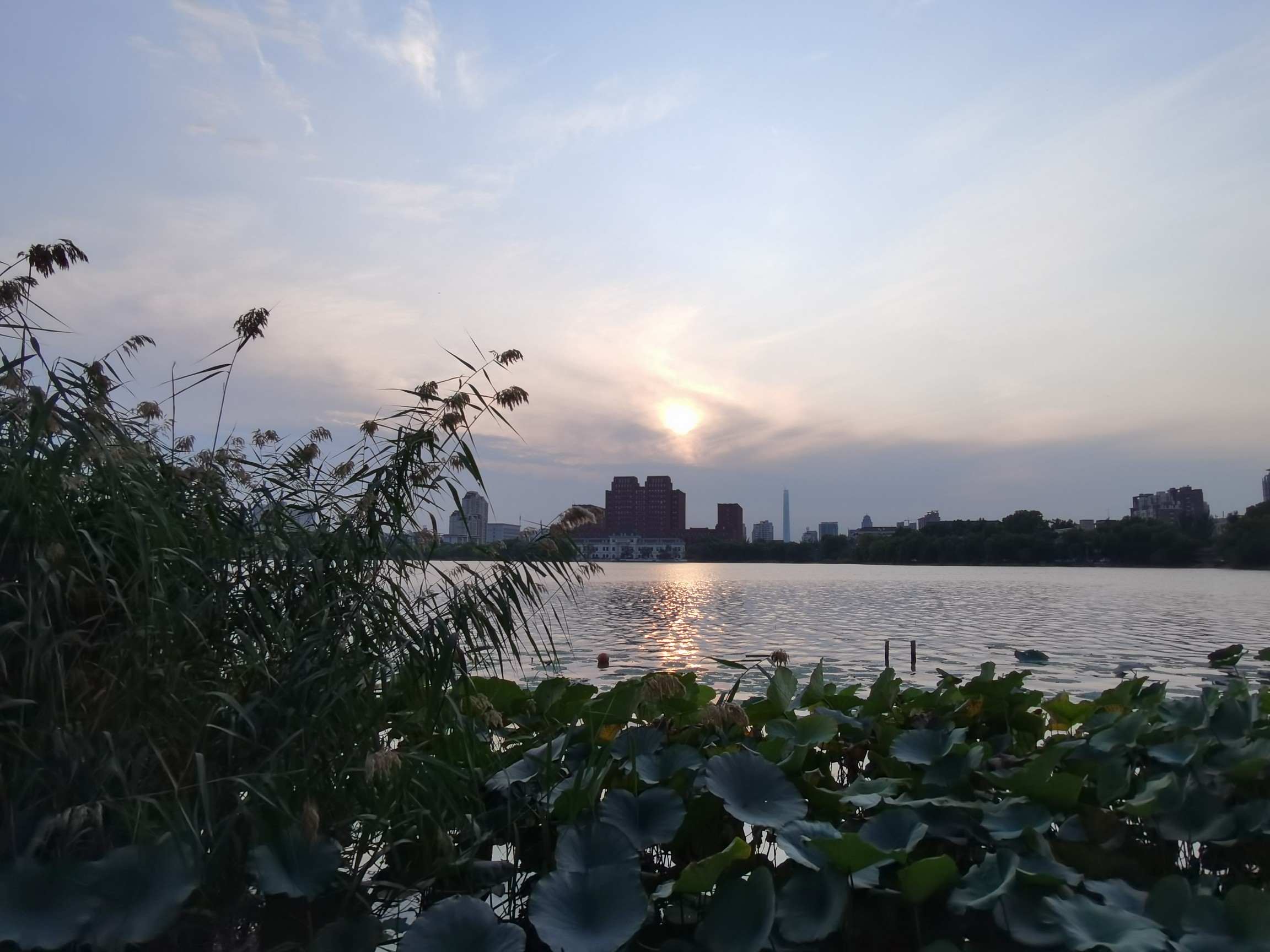 IMG_20210923_171325.jpg