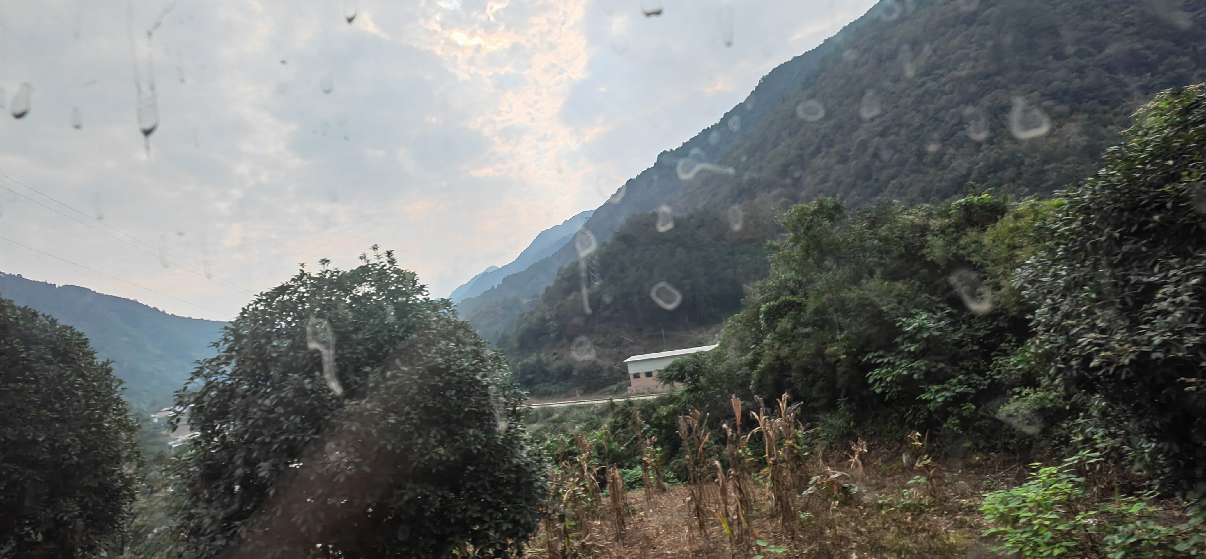 IMG_20210930_155654.jpg