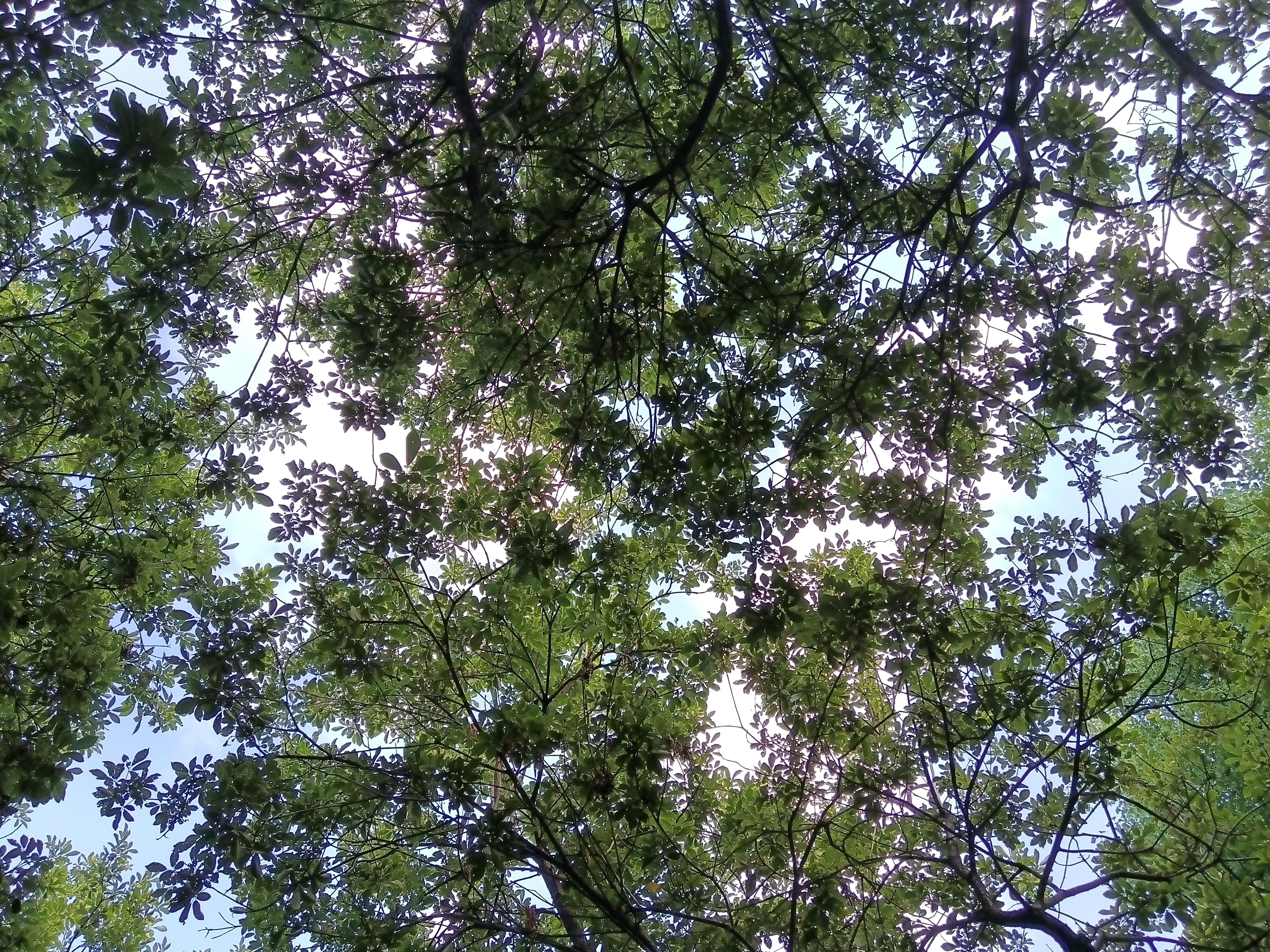 IMG_20210924_162640.jpg