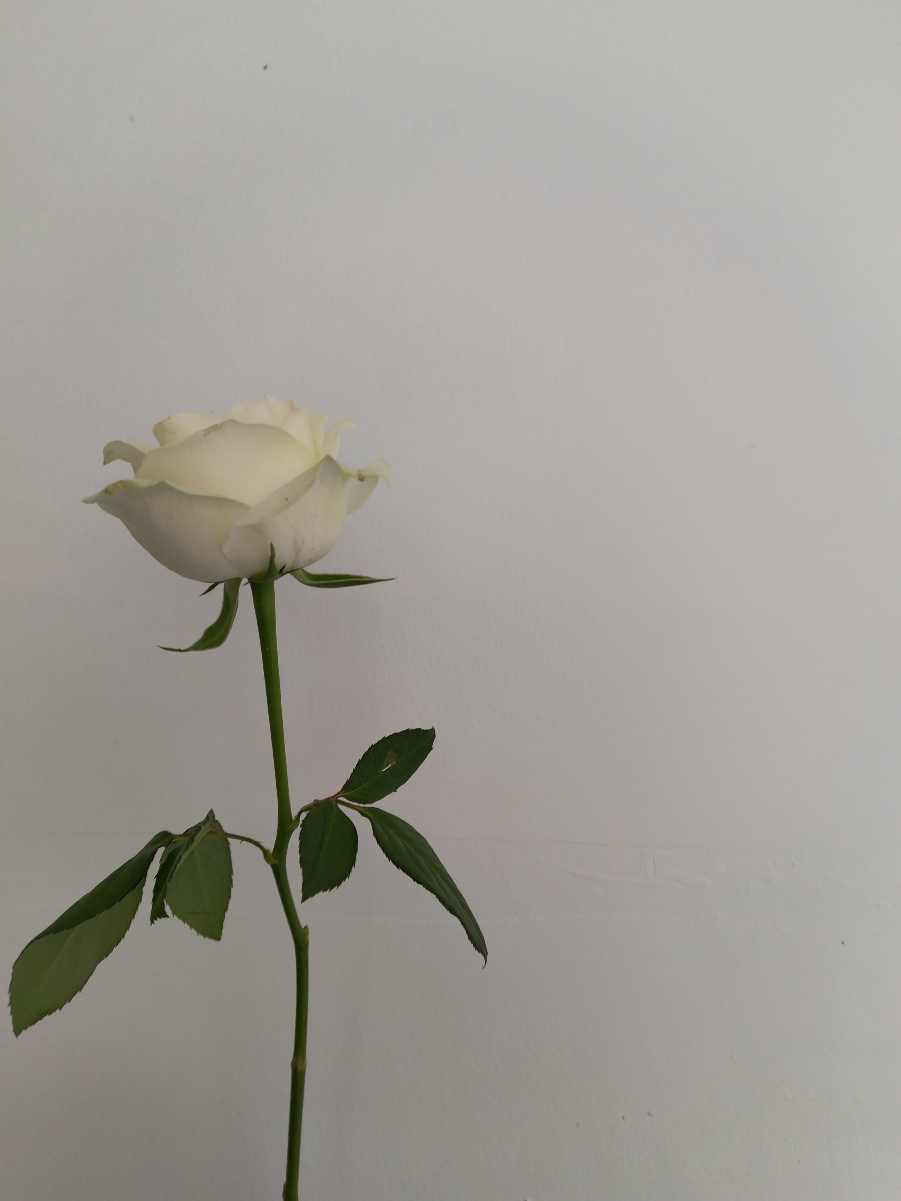 IMG_20211001_125915.jpg