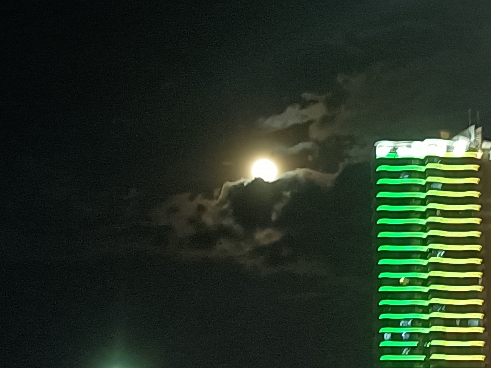 IMG_20210724_204625.jpg