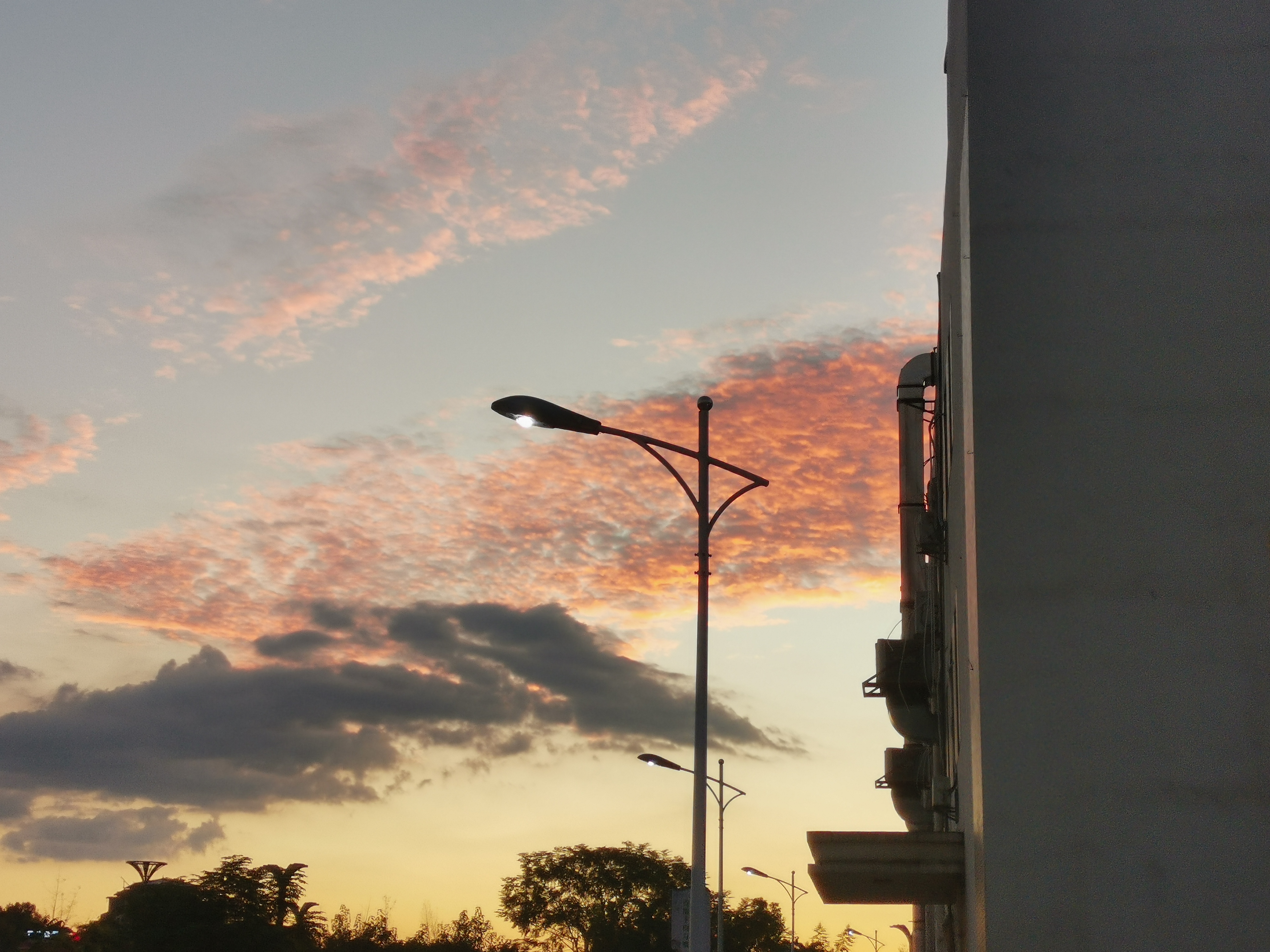 IMG_20210920_184355.jpg