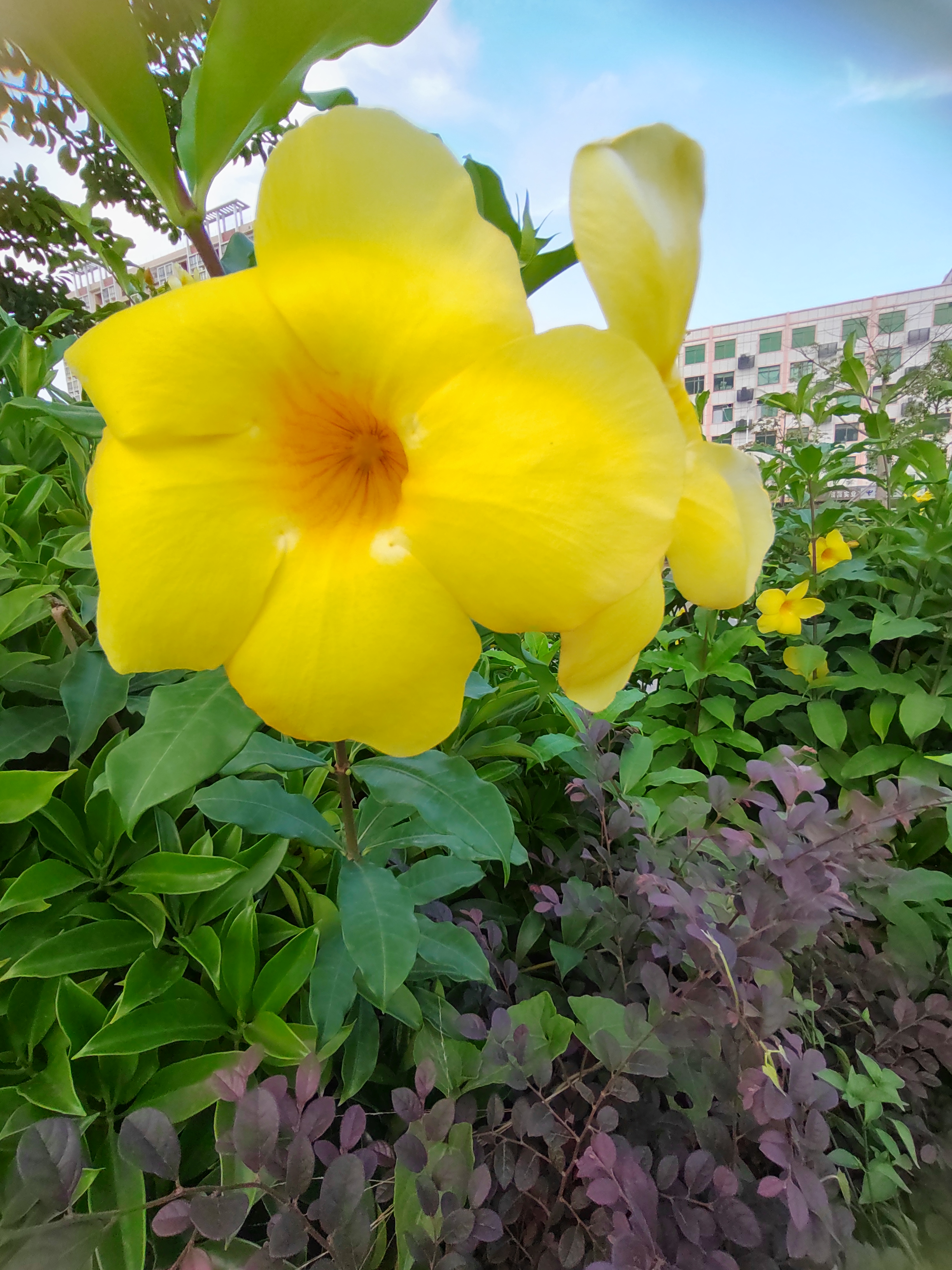 IMG_20210921_175603.jpg