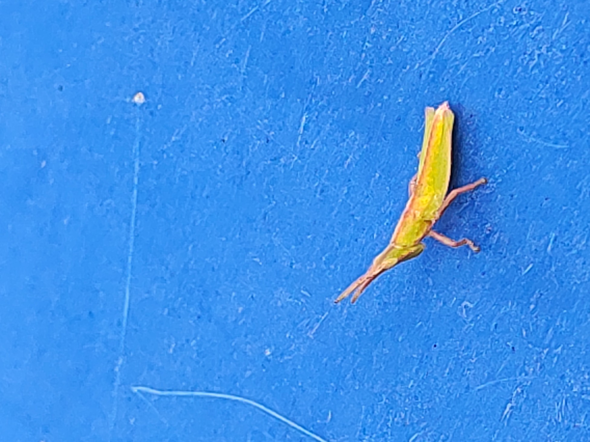 IMG_20211006_163850.jpg