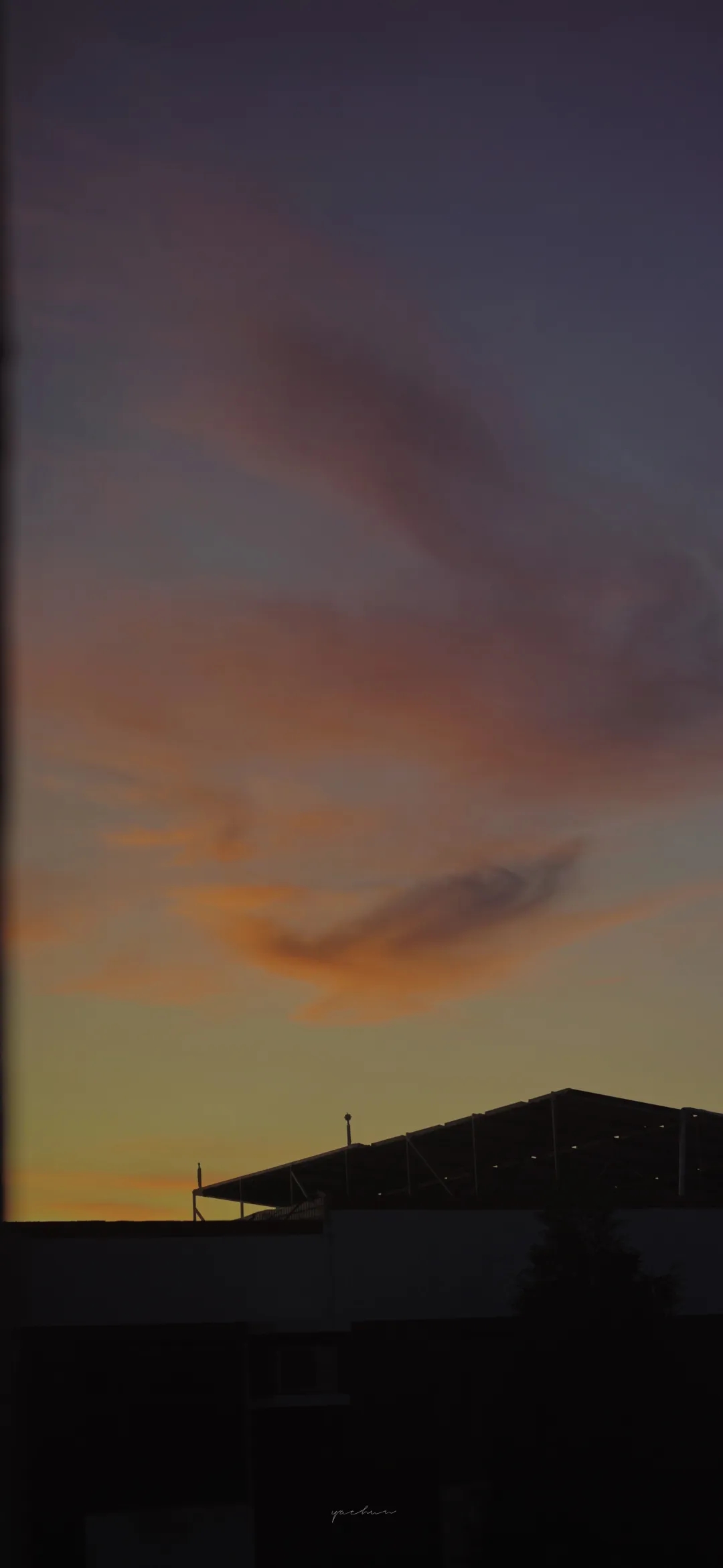 mmexport1607071946705.jpg