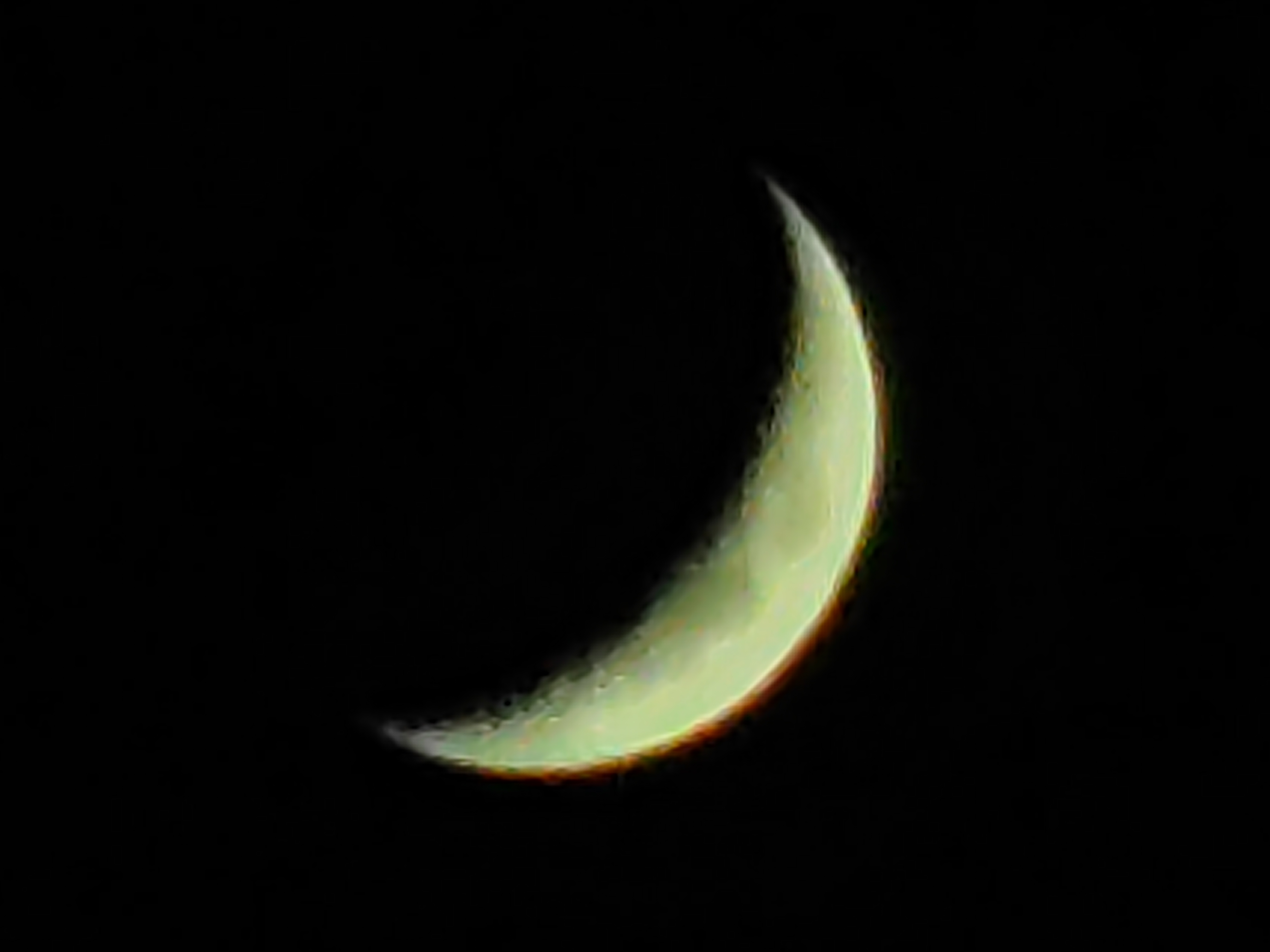 IMG_20211010_184731.jpg