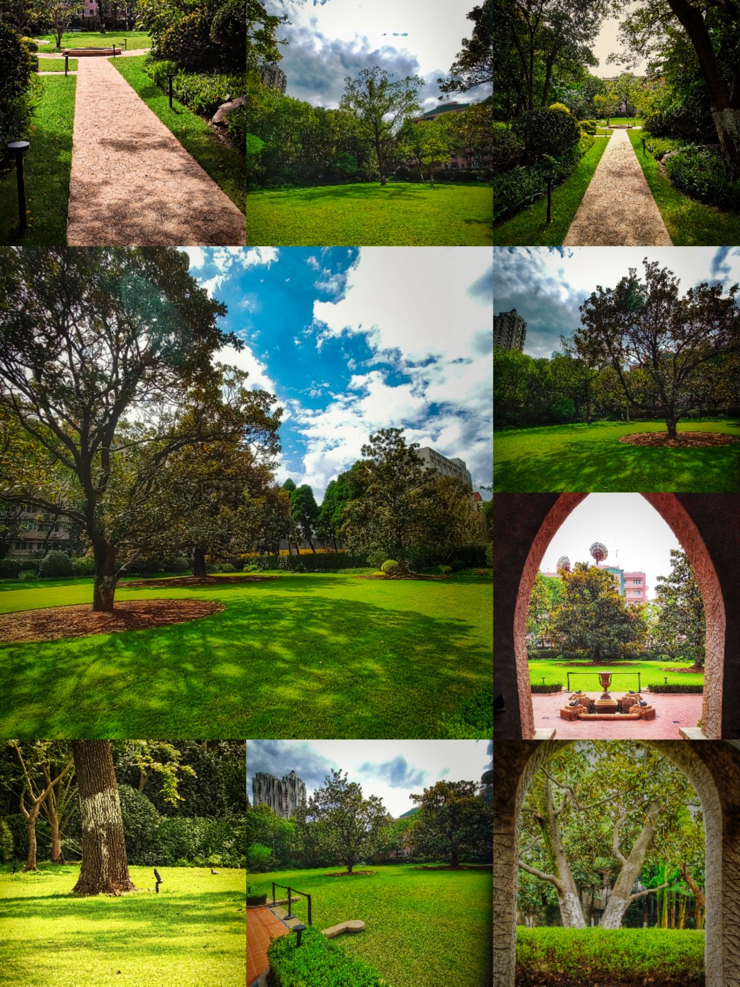 Collage_20211007_131617.jpg