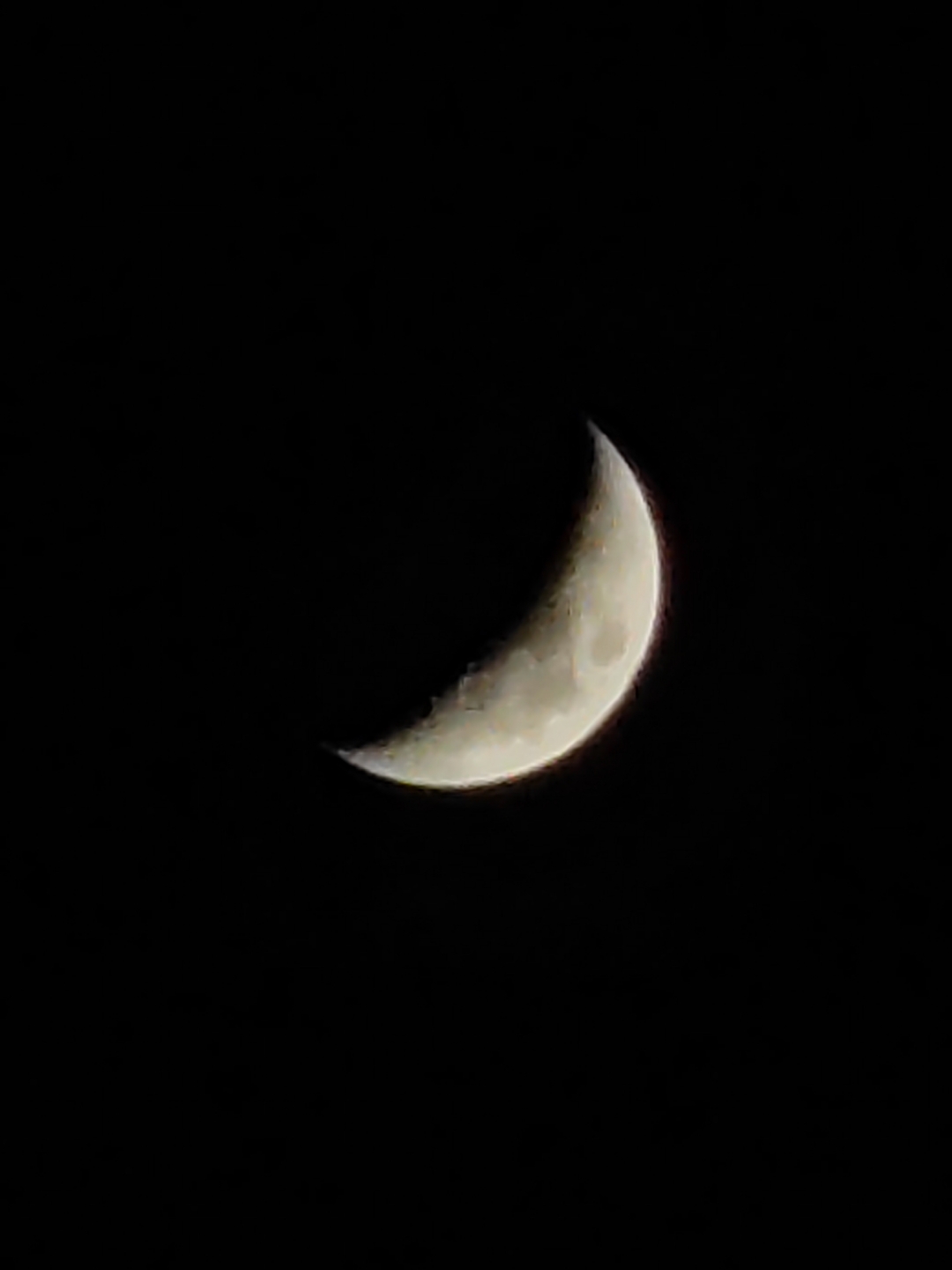 IMG_20211011_194331.jpg