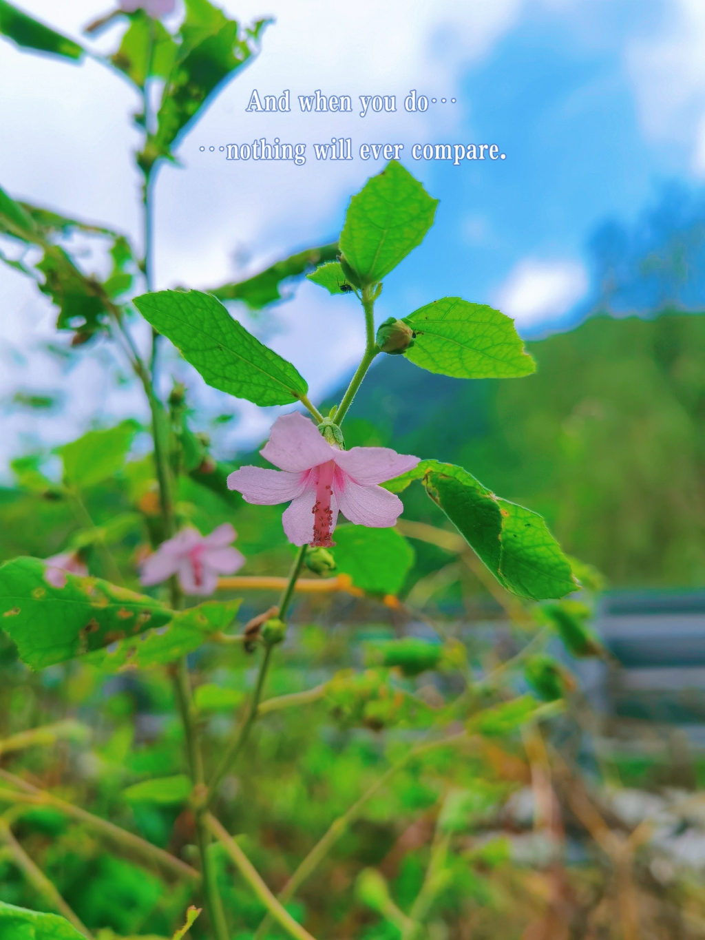 retouch_2021092011520546.jpg