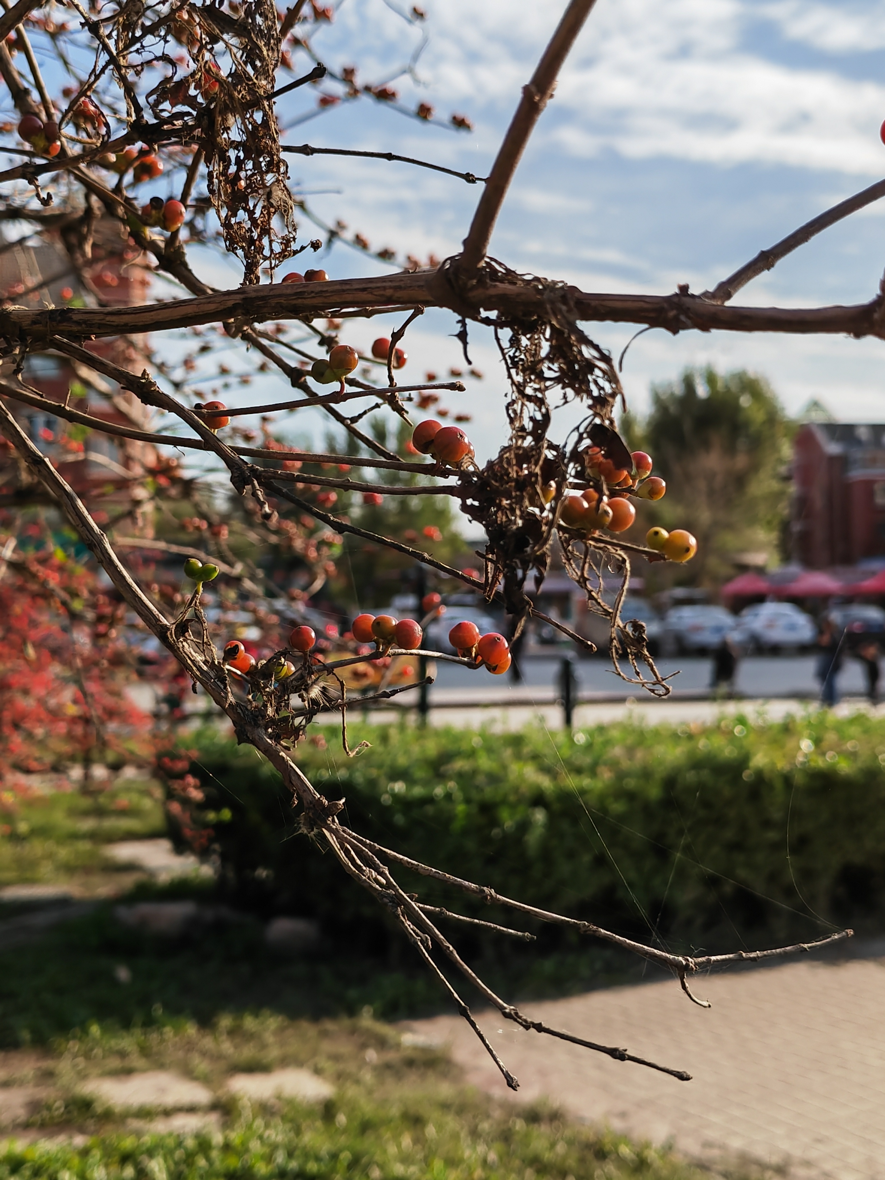 IMG_20211015_154320.jpg