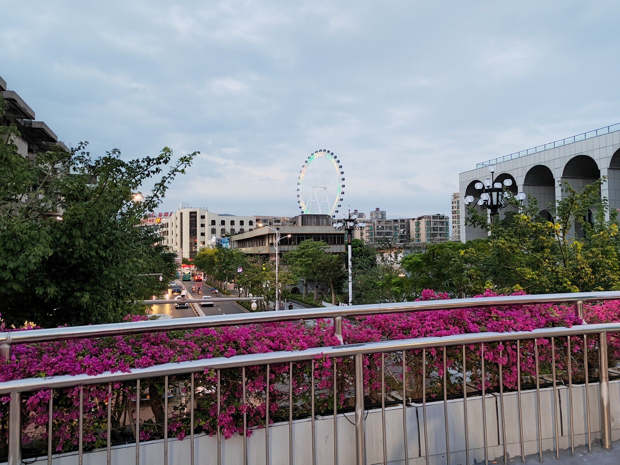 IMG_20211016_180924.jpg