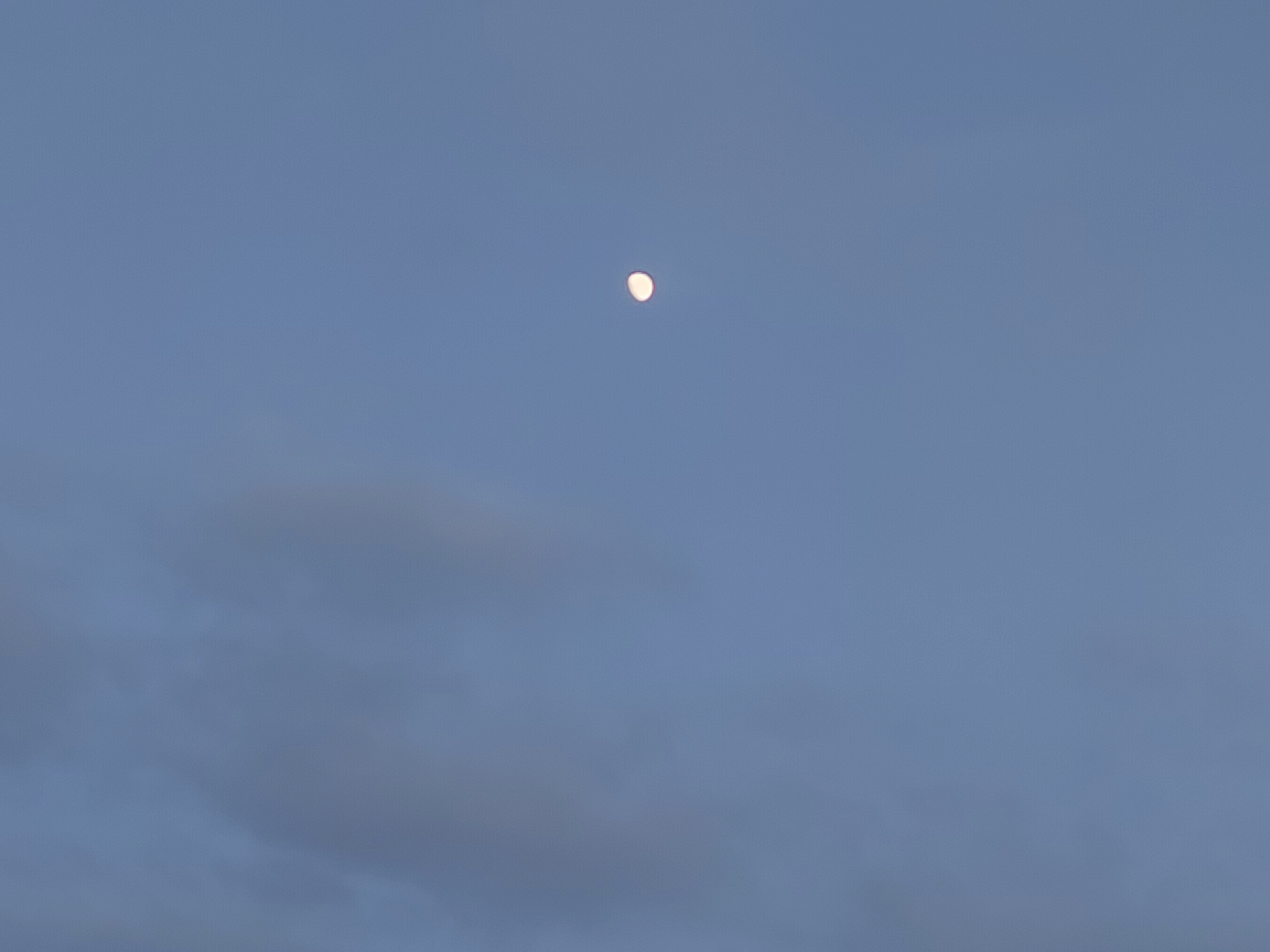 IMG_20211016_181238.jpg