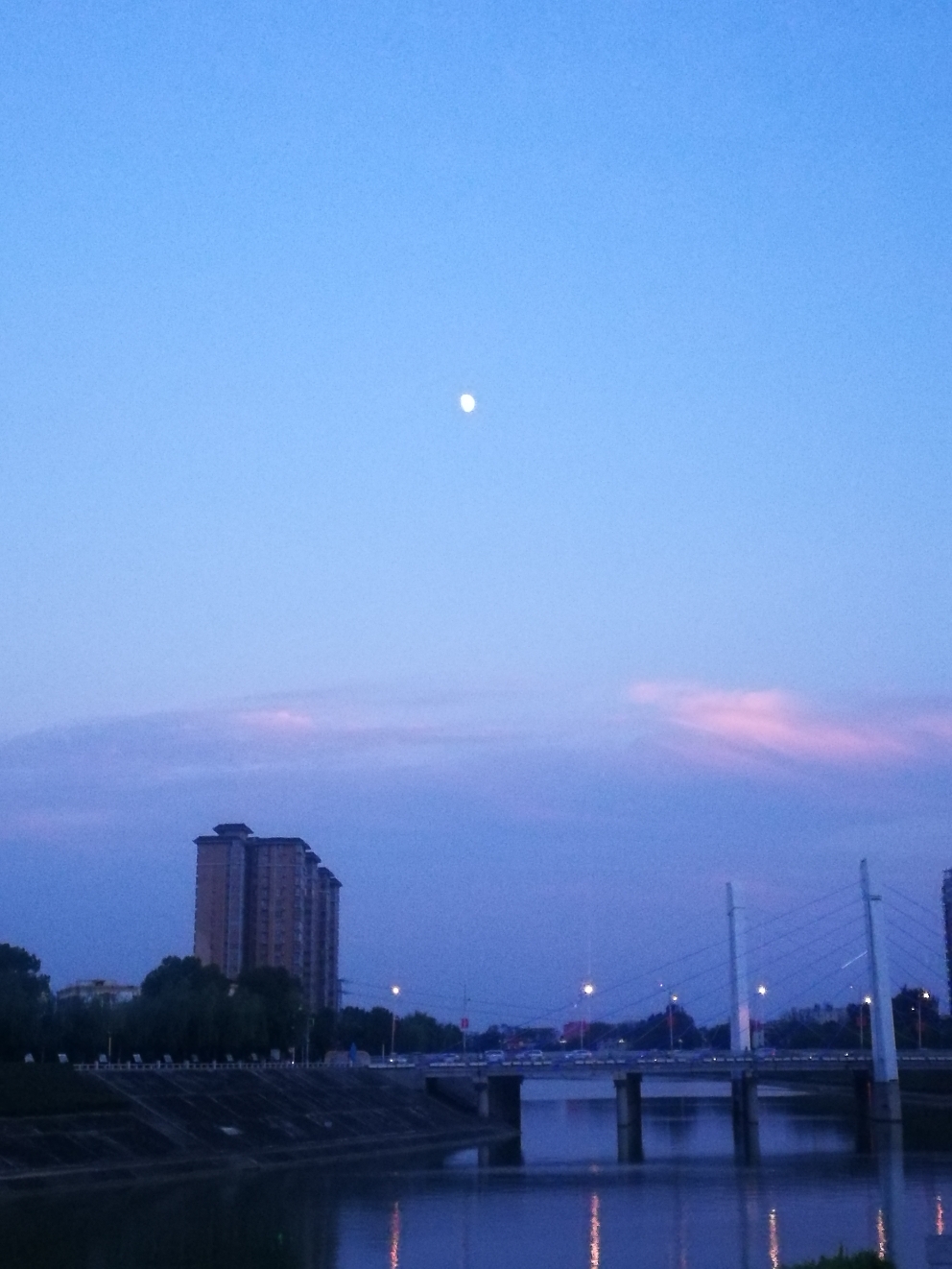 IMG_20211016_175500.jpg