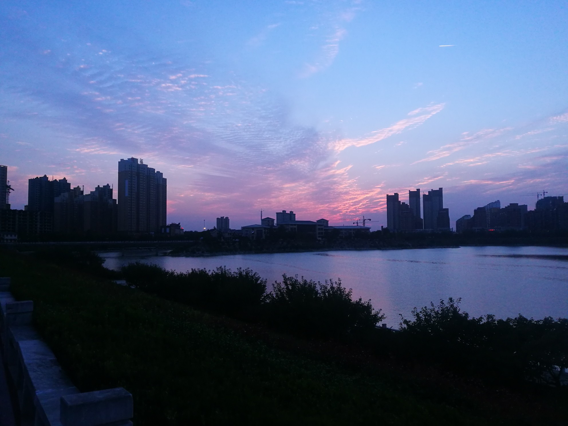 IMG_20211016_175151.jpg