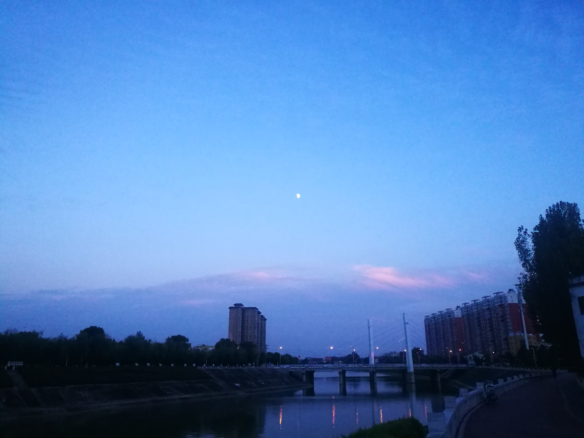 IMG_20211016_175425.jpg