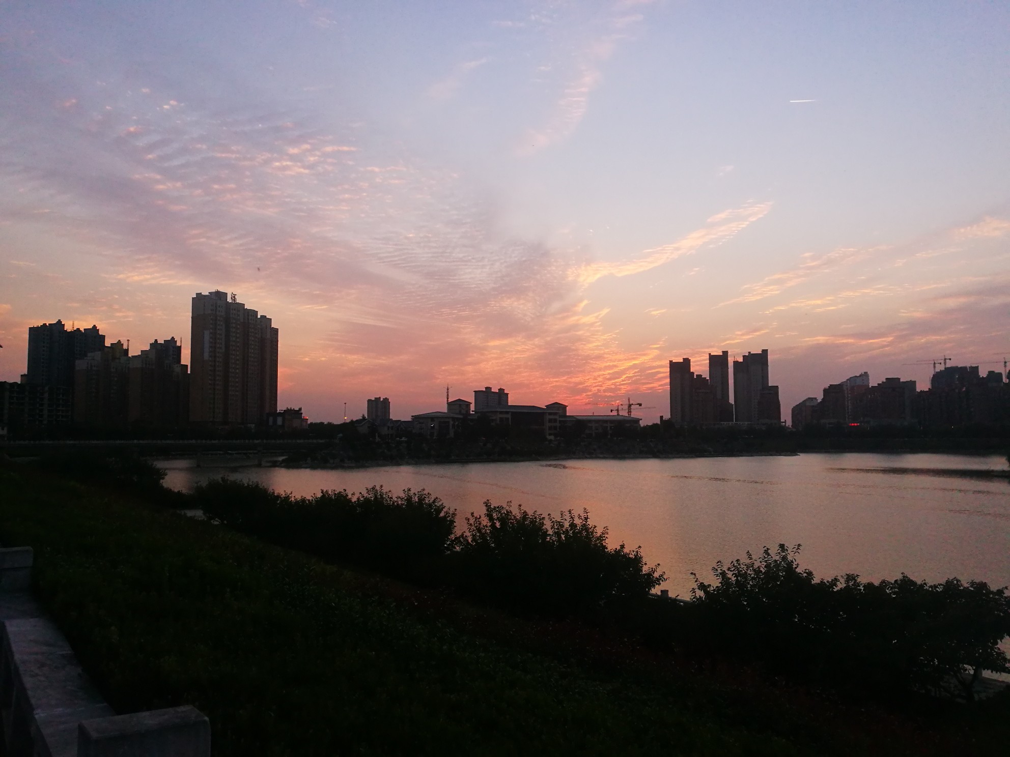 IMG_20211016_175147.jpg