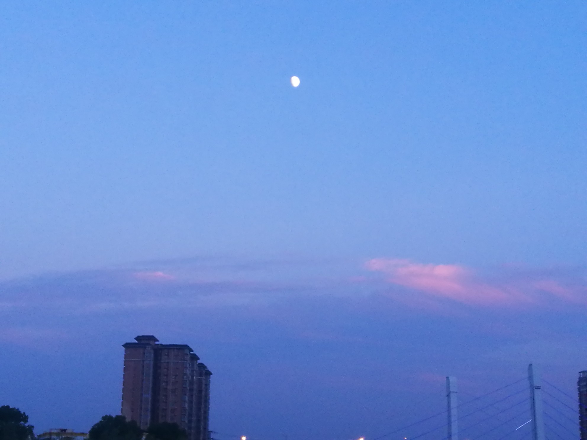 IMG_20211016_175532.jpg