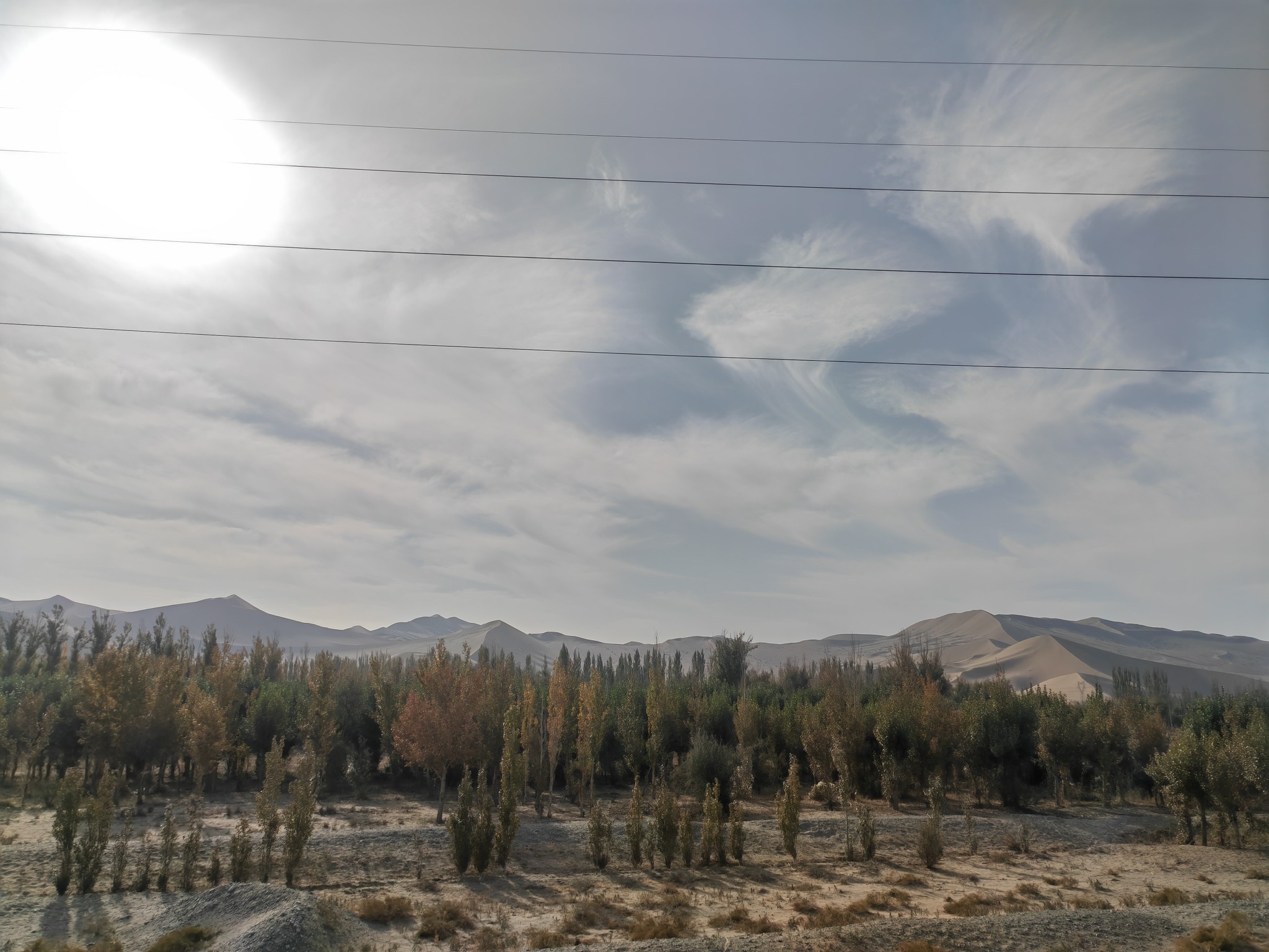 IMG_20211017_104515.jpg