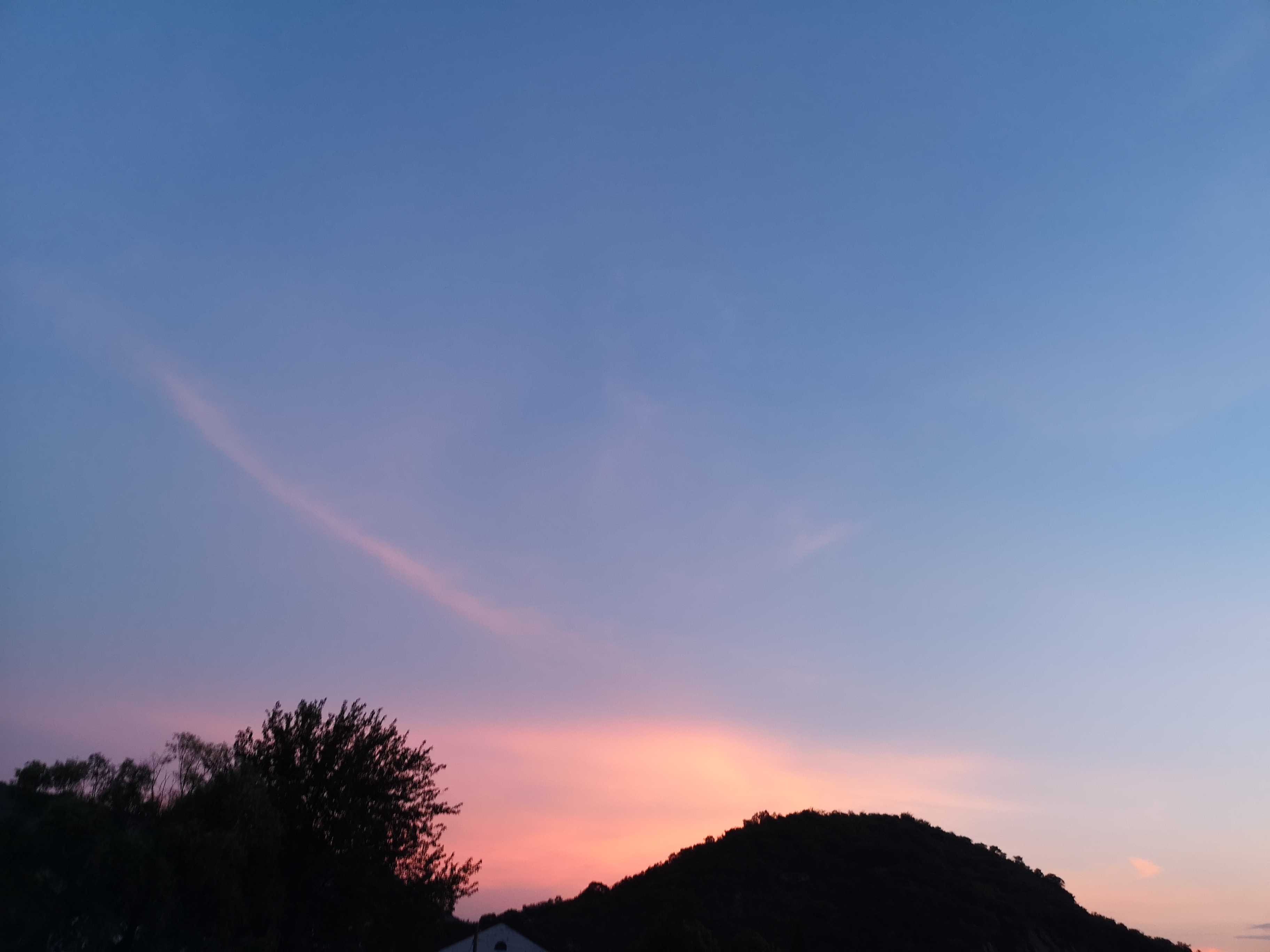 IMG_20190727_192119.jpg