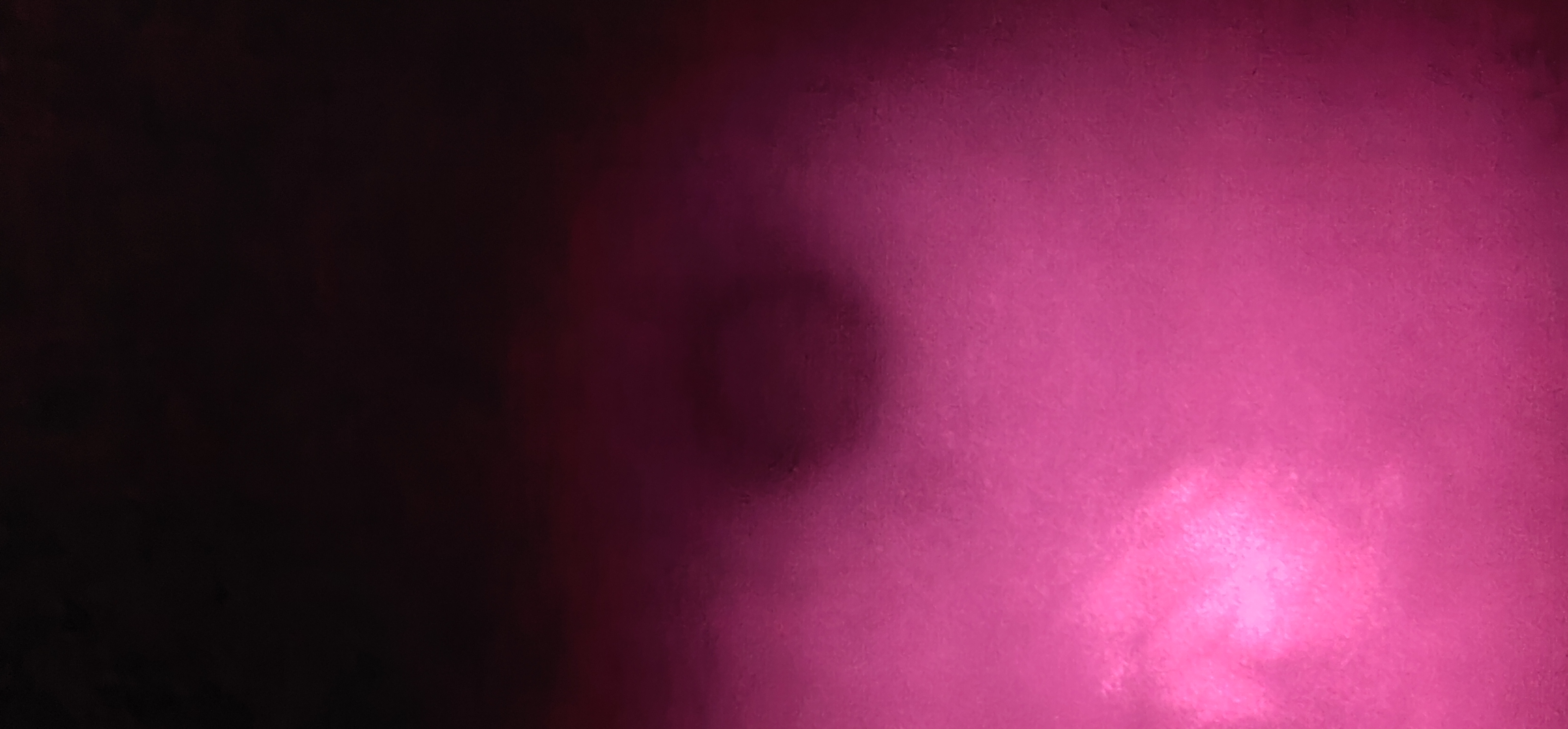 IMG_20211025_013107.jpg