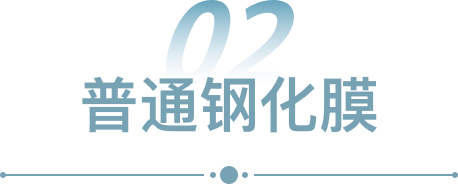 mmexport8668002fe84ebd2a0dcf2df2e1b96a75_1635431701055.png