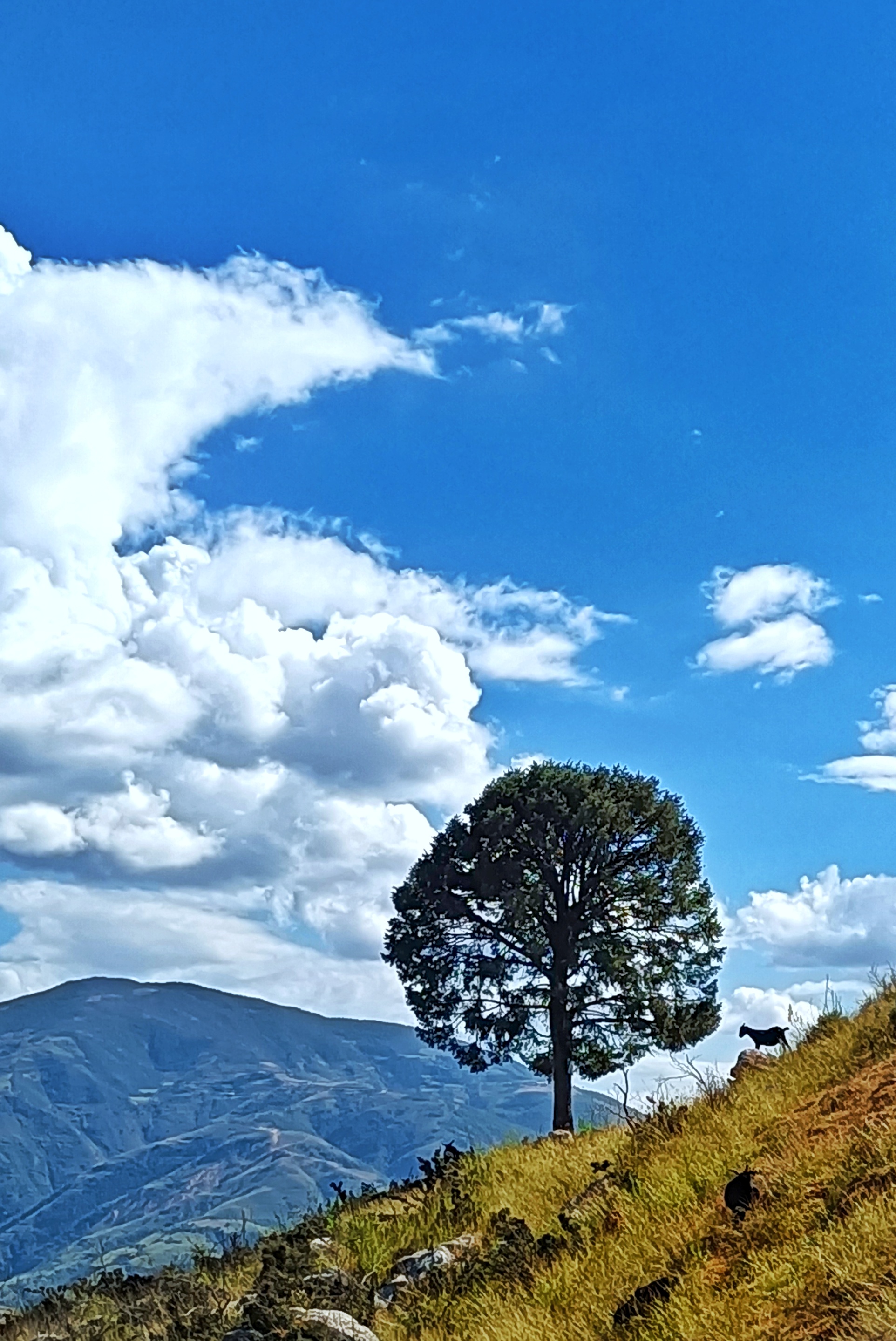 1924_2879竖版 竖屏