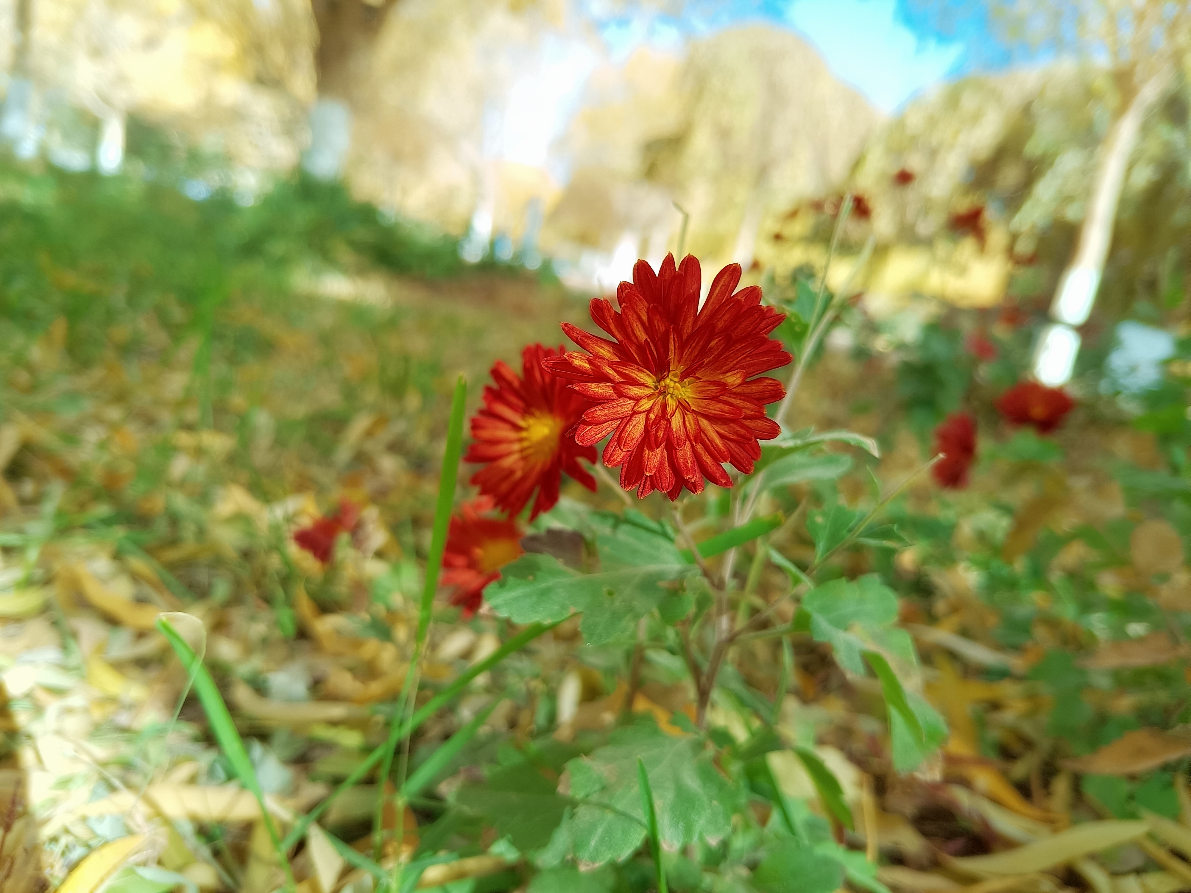 照片5.jpg