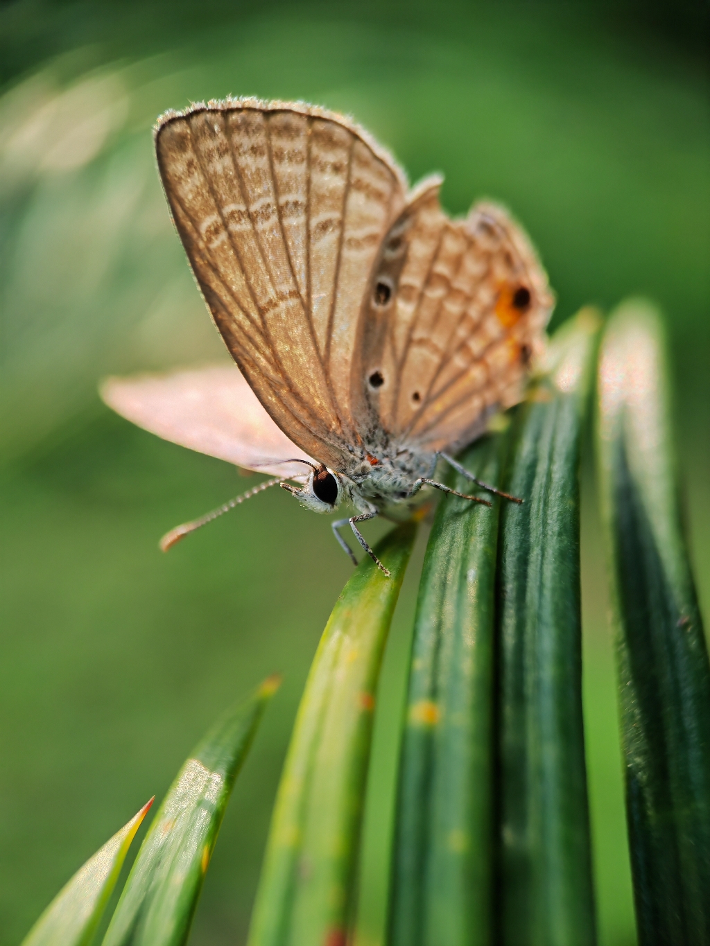 IMG_20211103_151515_polarr.jpg