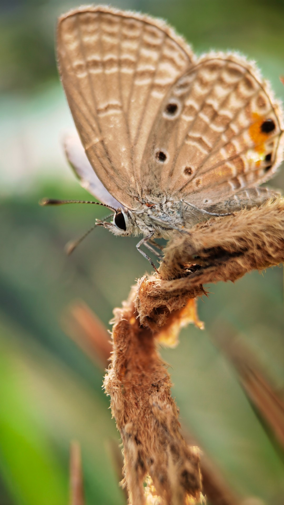 IMG_20211103_151807_polarr.jpg