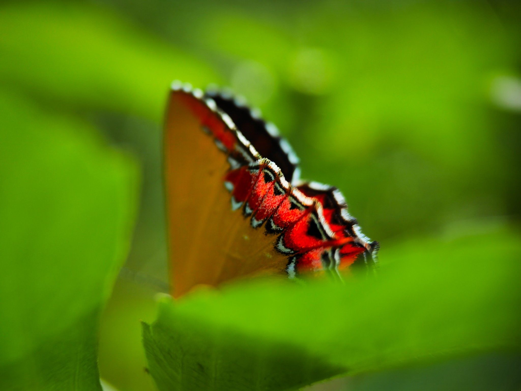 IMG_20211103_153531_1_polarr.jpg